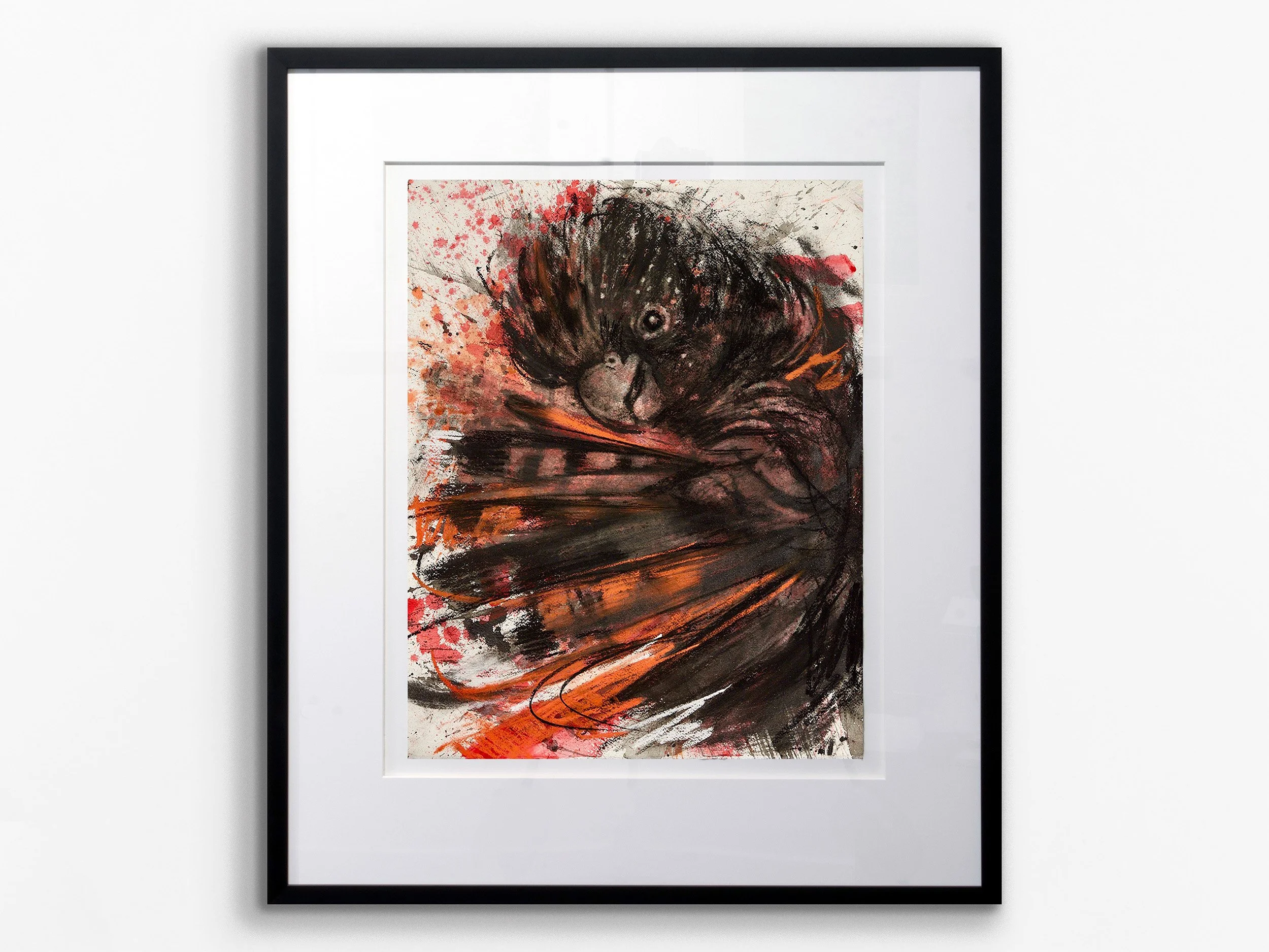 Chic: Red-Tailed Black Cockatoo, 2024