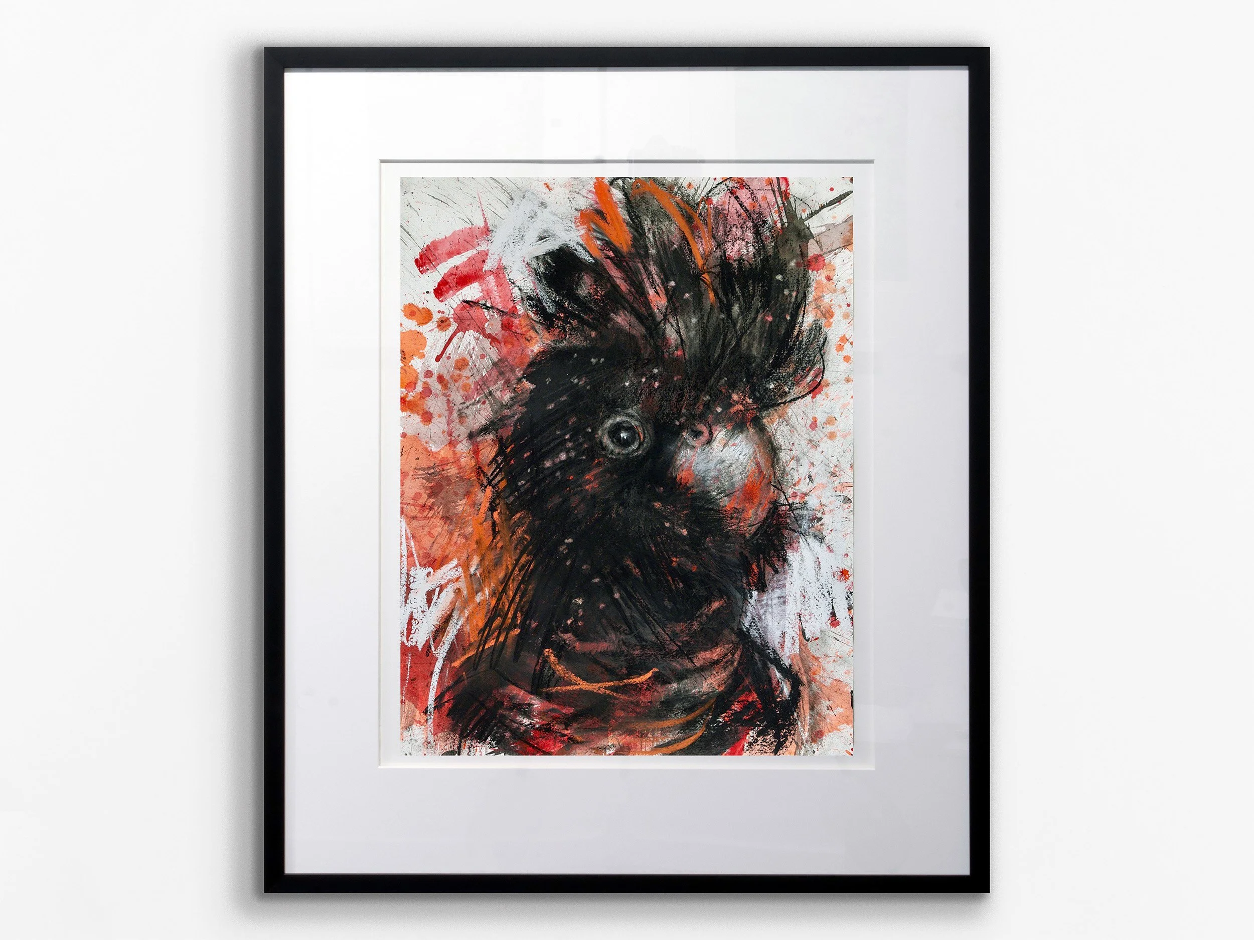 The Head, Red-Tailed Black Cockatoo, 2024