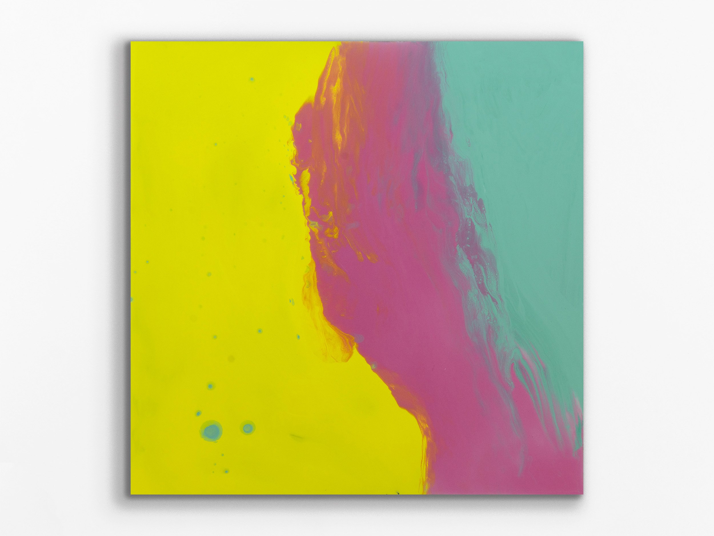 xylem series: haplostele74, 2025