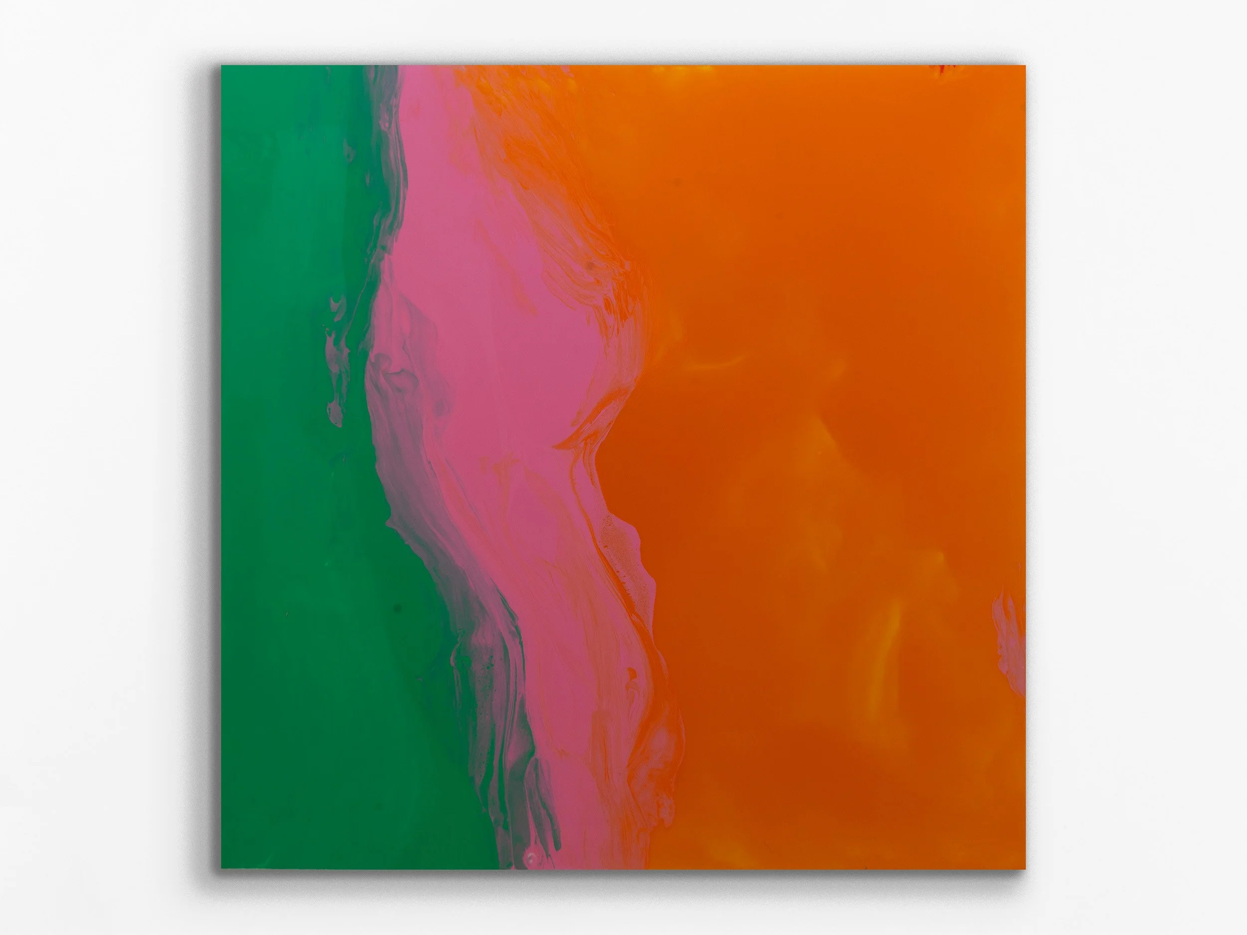 xylem series: chromatophore23, 2025