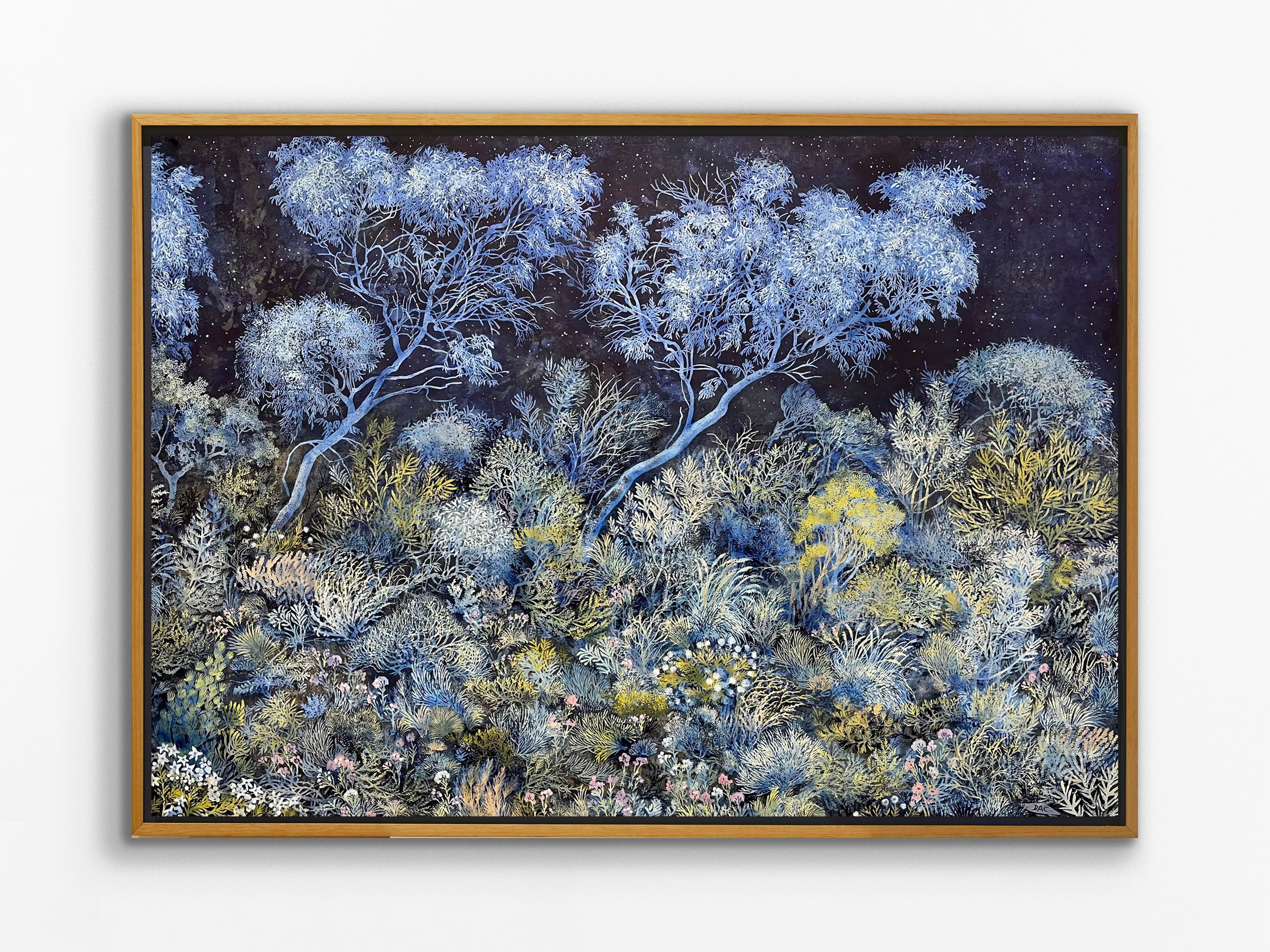 Reaching for the Stars, 2025