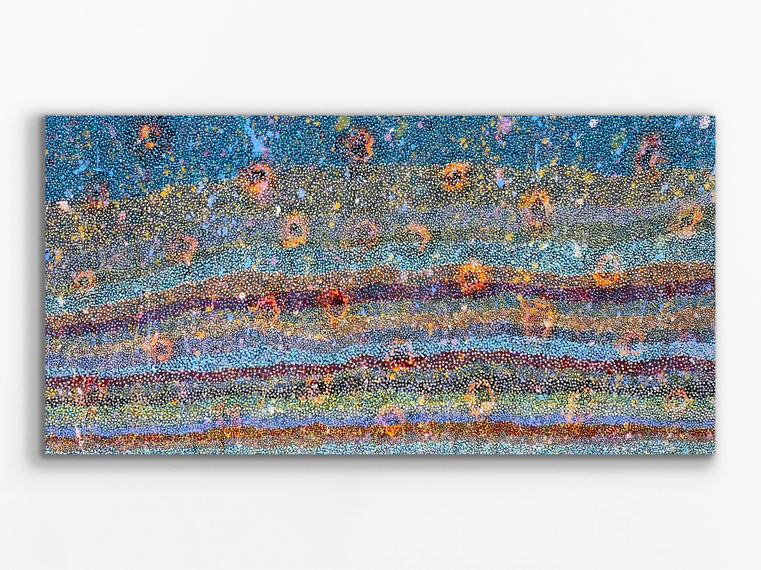 Wildflowers in the Bush, 2024