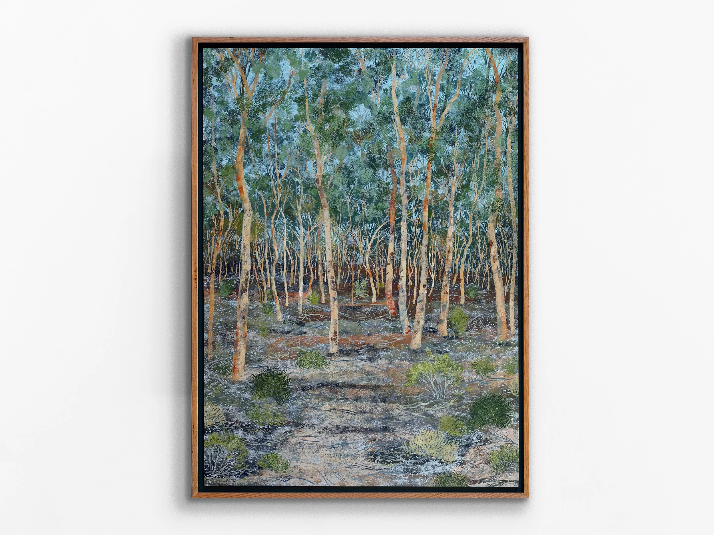 Salmon Trees - St Ronans Reserve, York-Shire, 2026