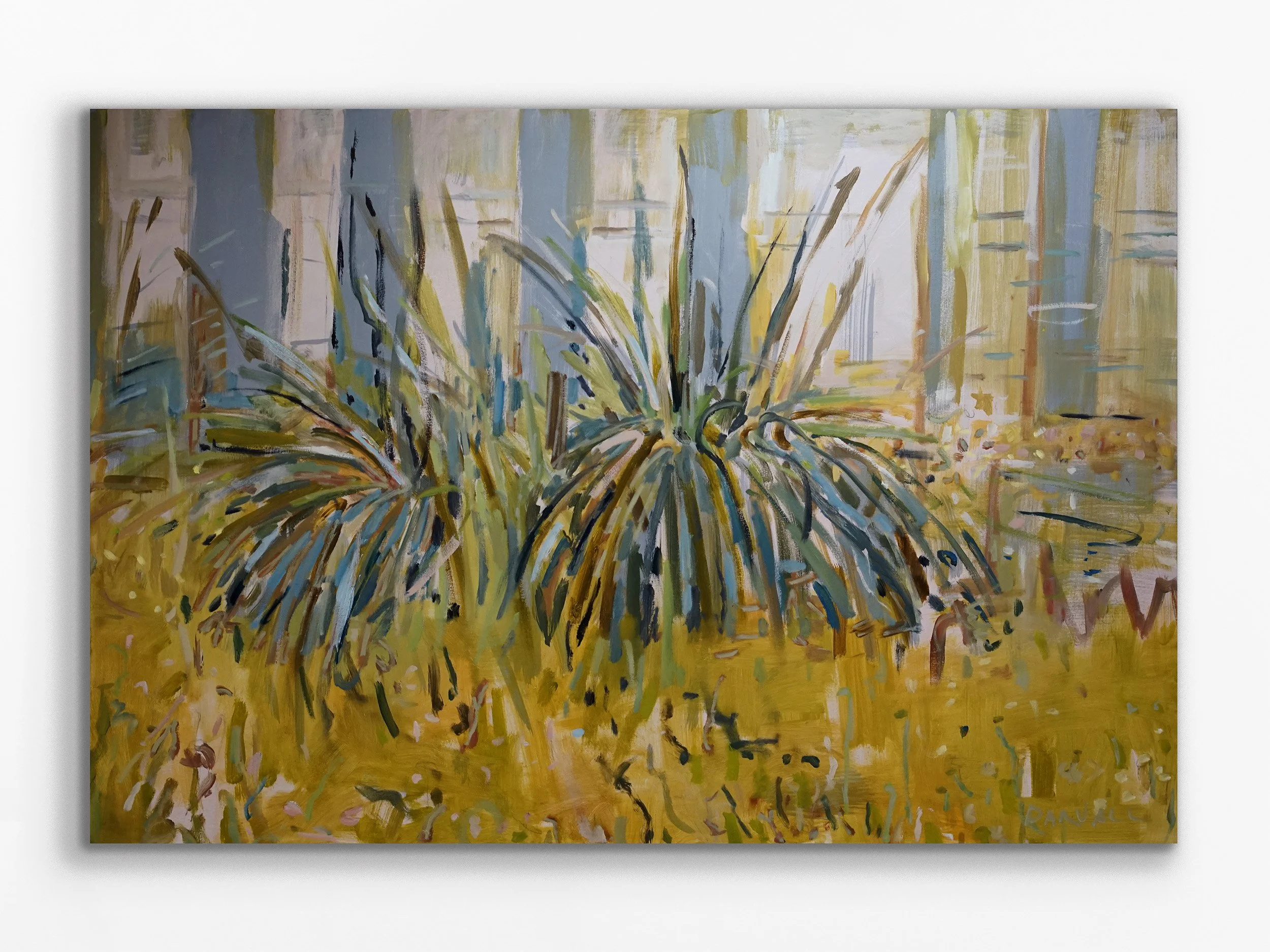 Xanorthiria, WA Parliament House Gardens, 2024