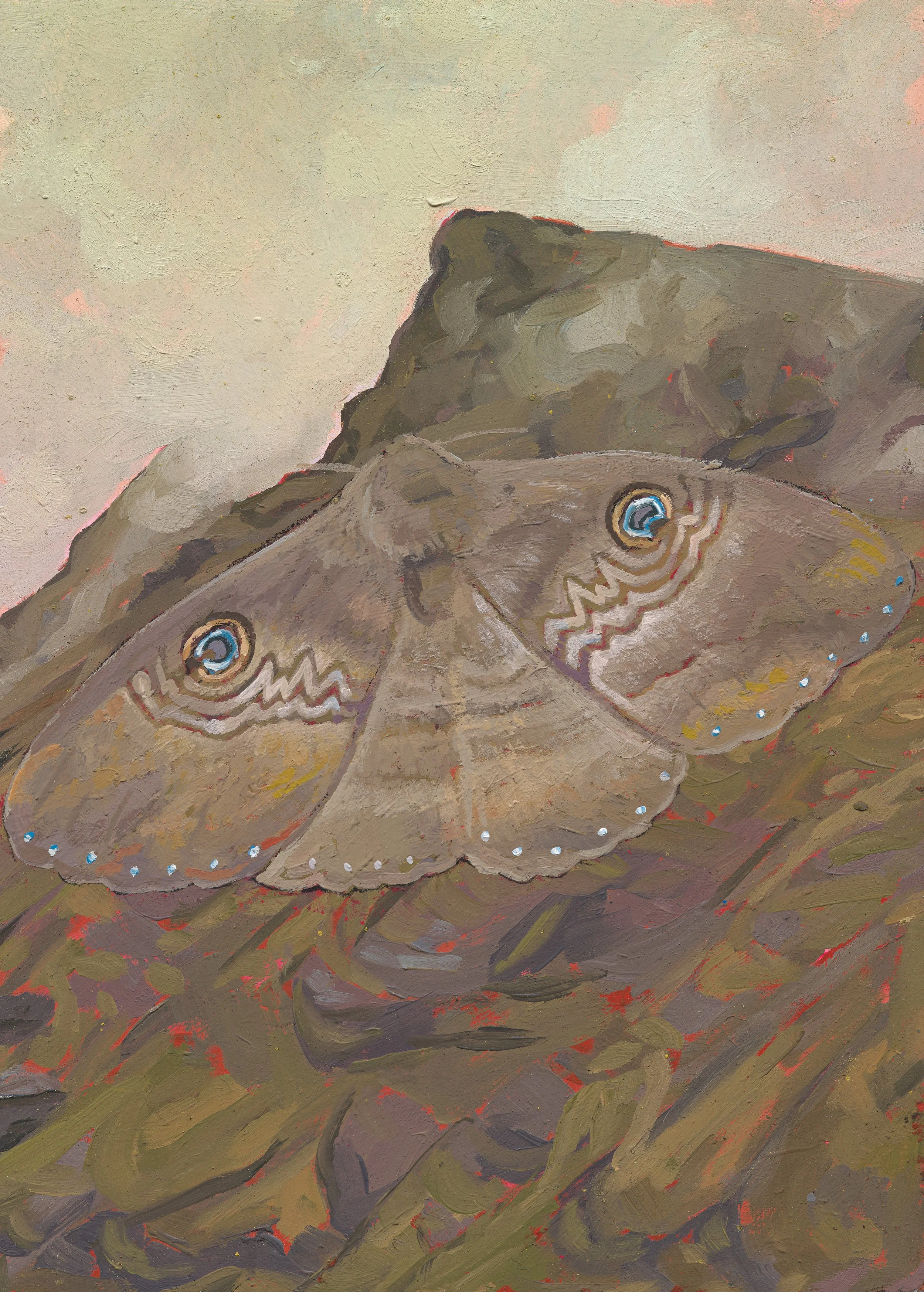 Ash Moth, Leah, 2026