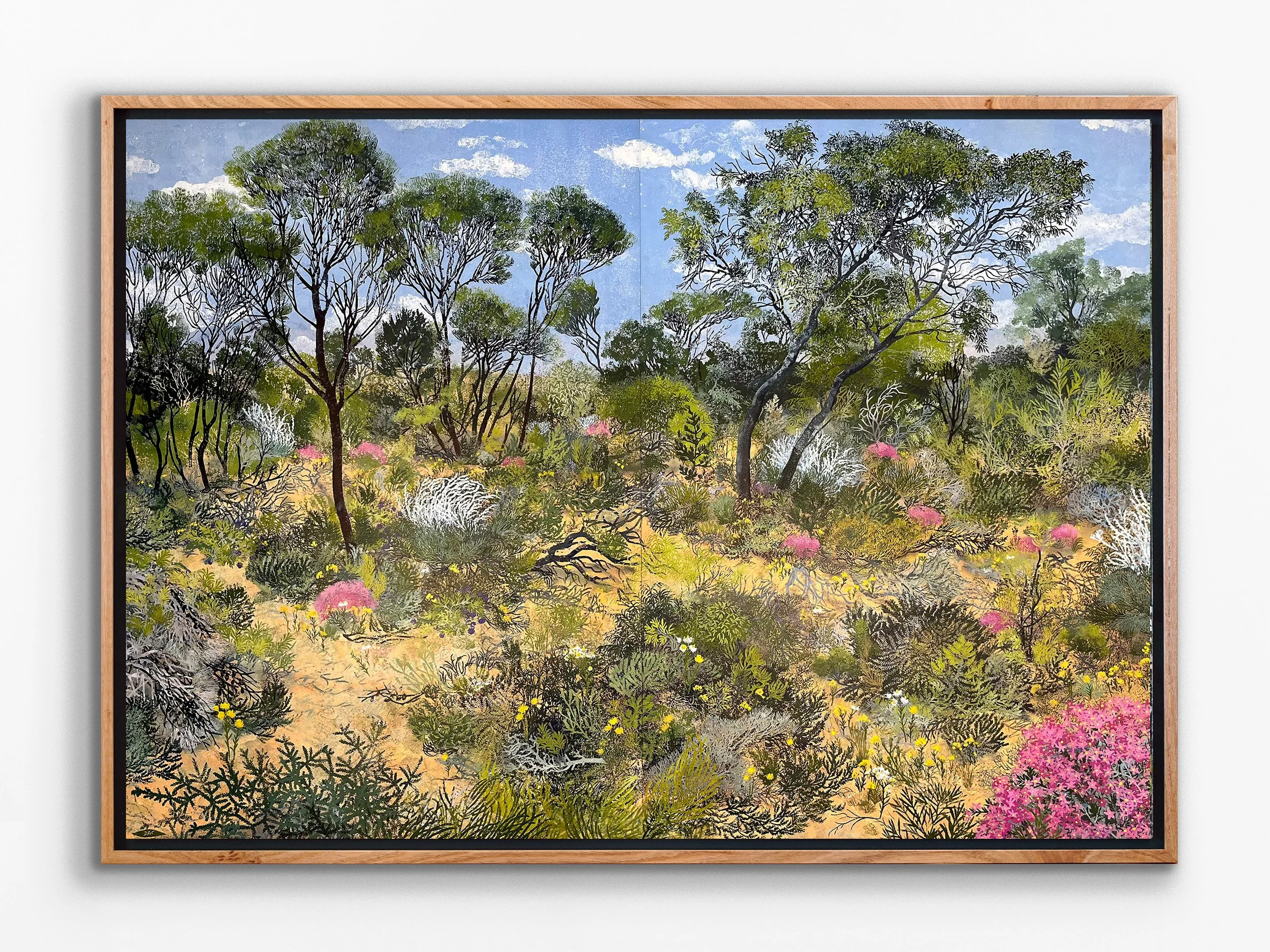 Love Your Bush ; Geraldton to Mt Magnet Rd, by Mullewa - October, 2025