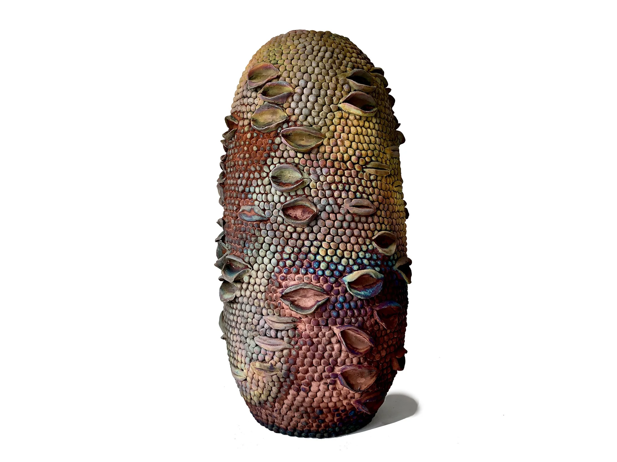 26641_B.jpg