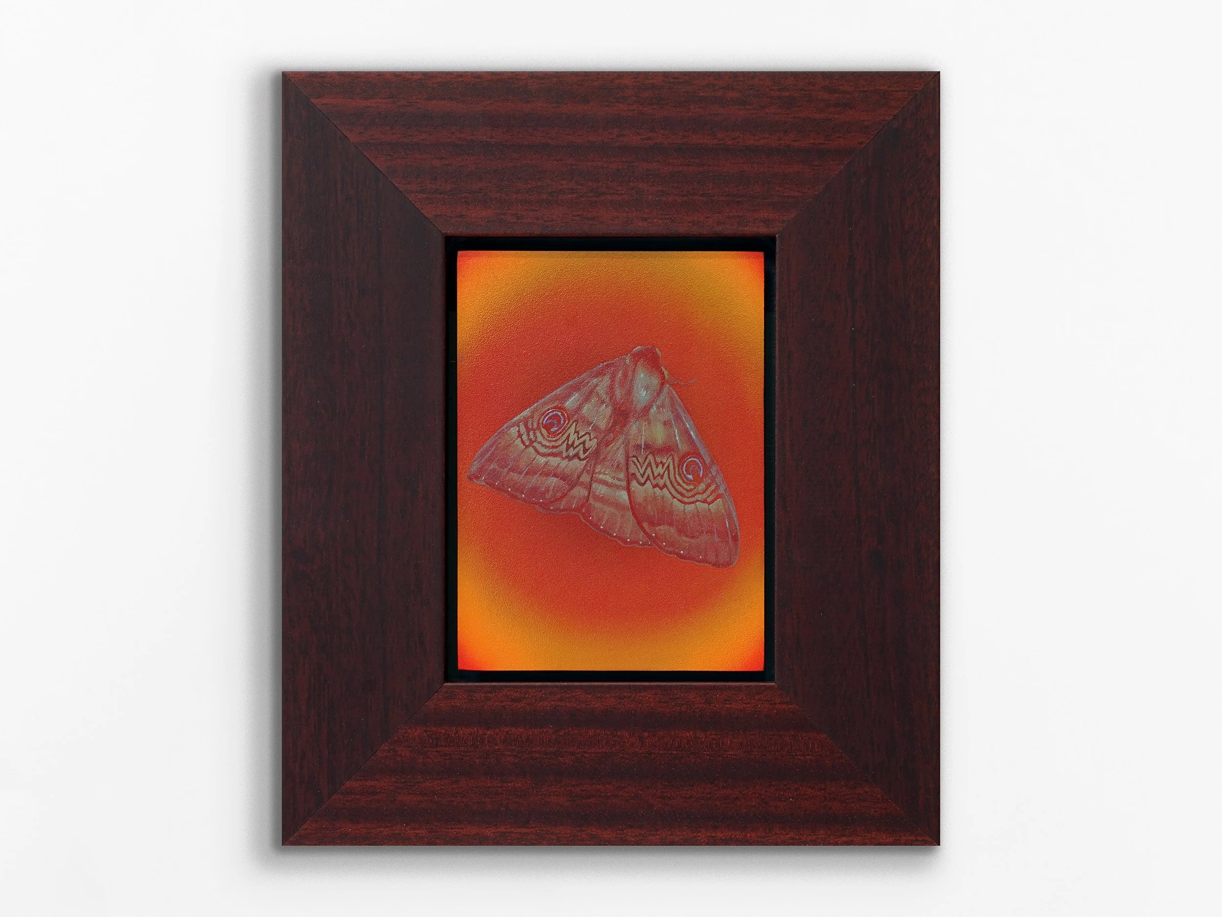 Flame Moth, Salome, 2026
