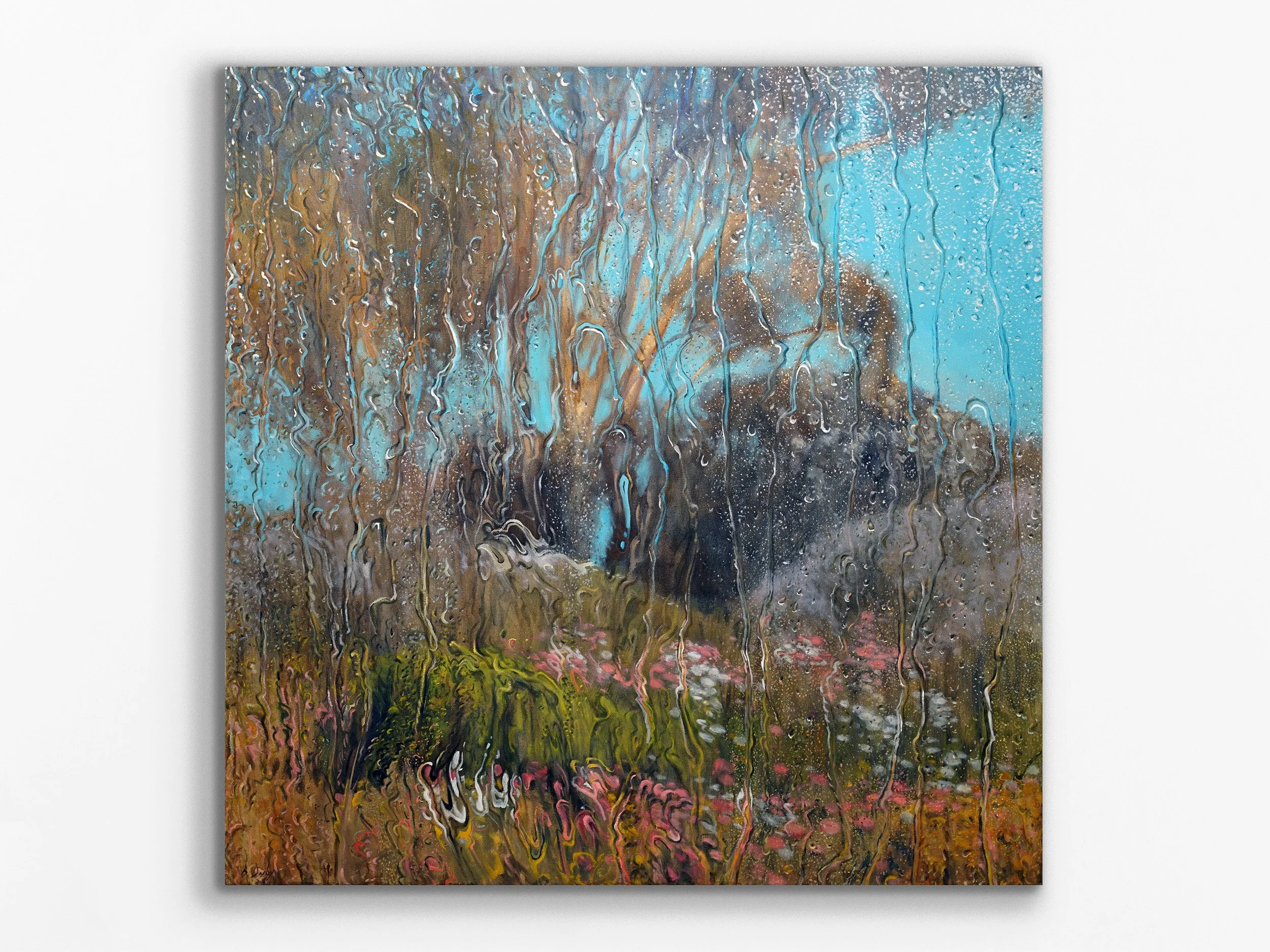 Wild Flowers and Sunshowers at Kings Park, 2015