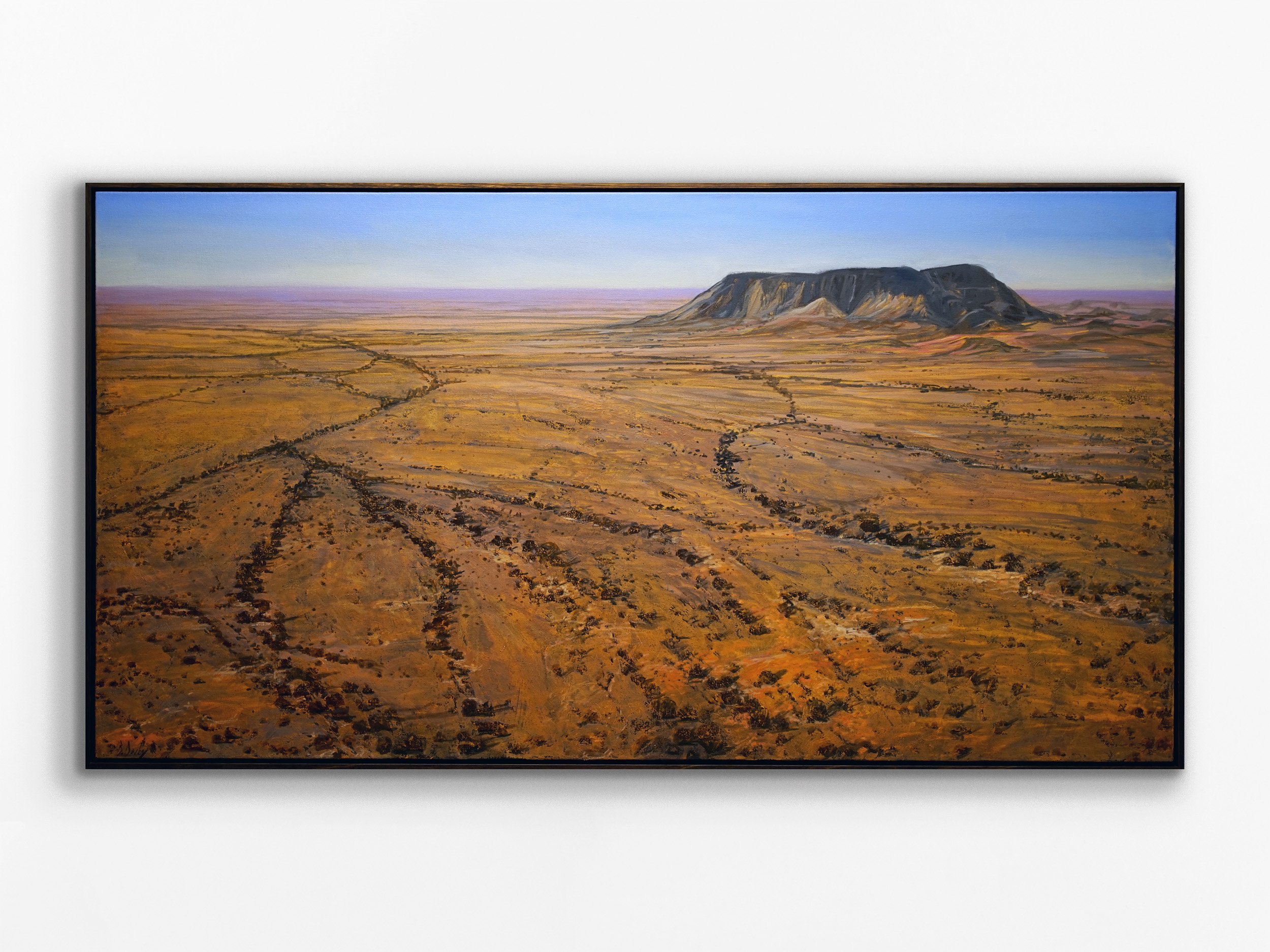 Coober Pedy Plains, 2018