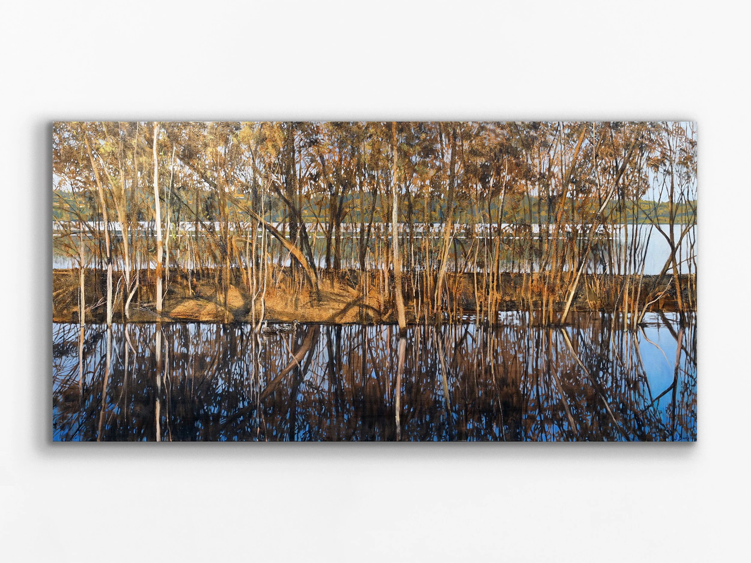 Across Lake Monger, 2024