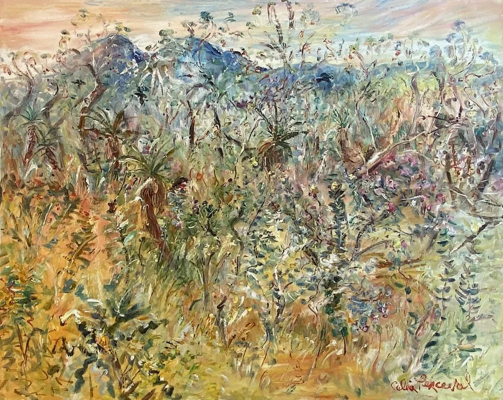 Celia Perceval: Bush Diary