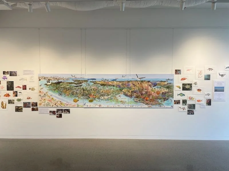 Exhibition announcement: The Living Ocean Festival