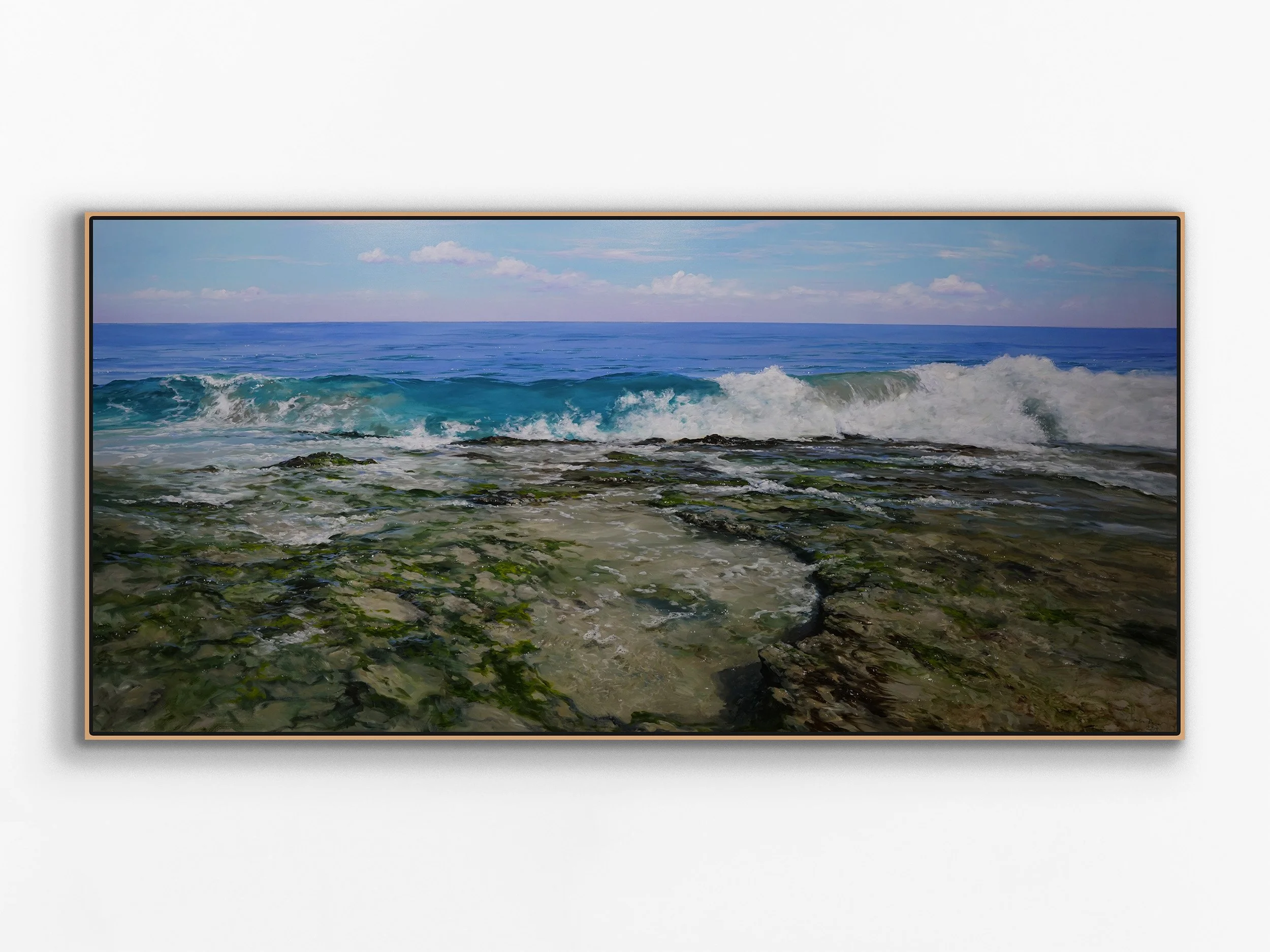 North Cottesloe Reef, 2018