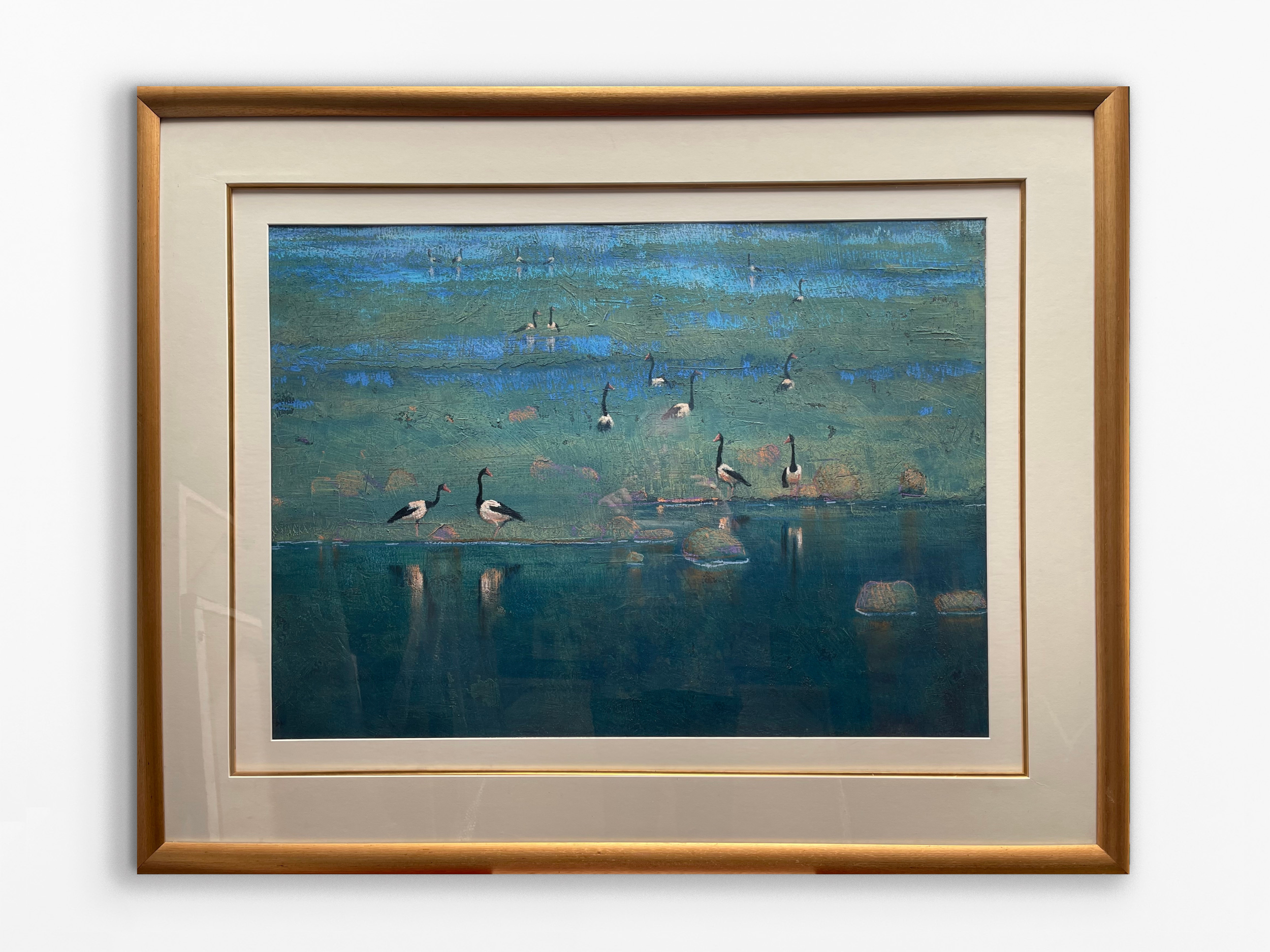 16 pied geese,
