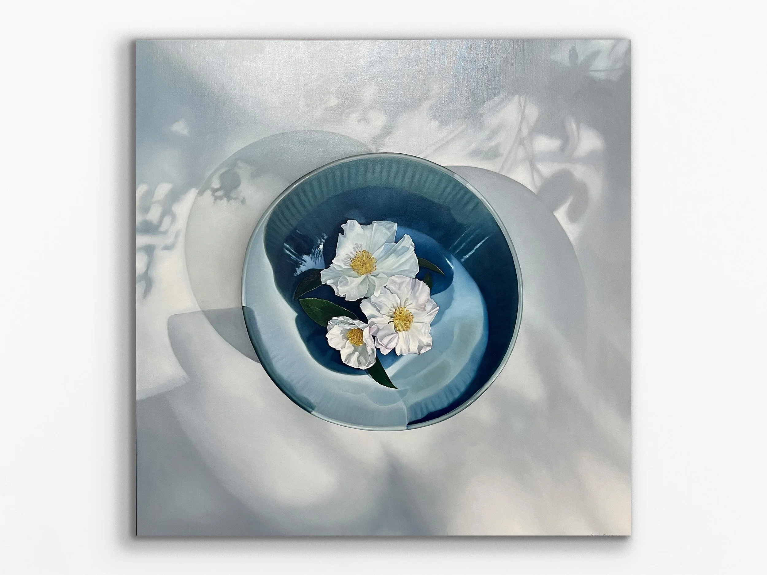 Winters quiet footprint, 2025