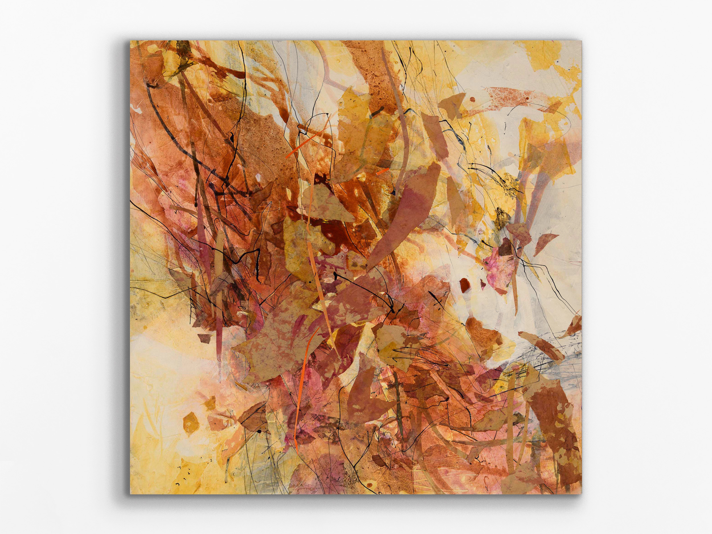 Creek Edge Seasonal Change, 2026