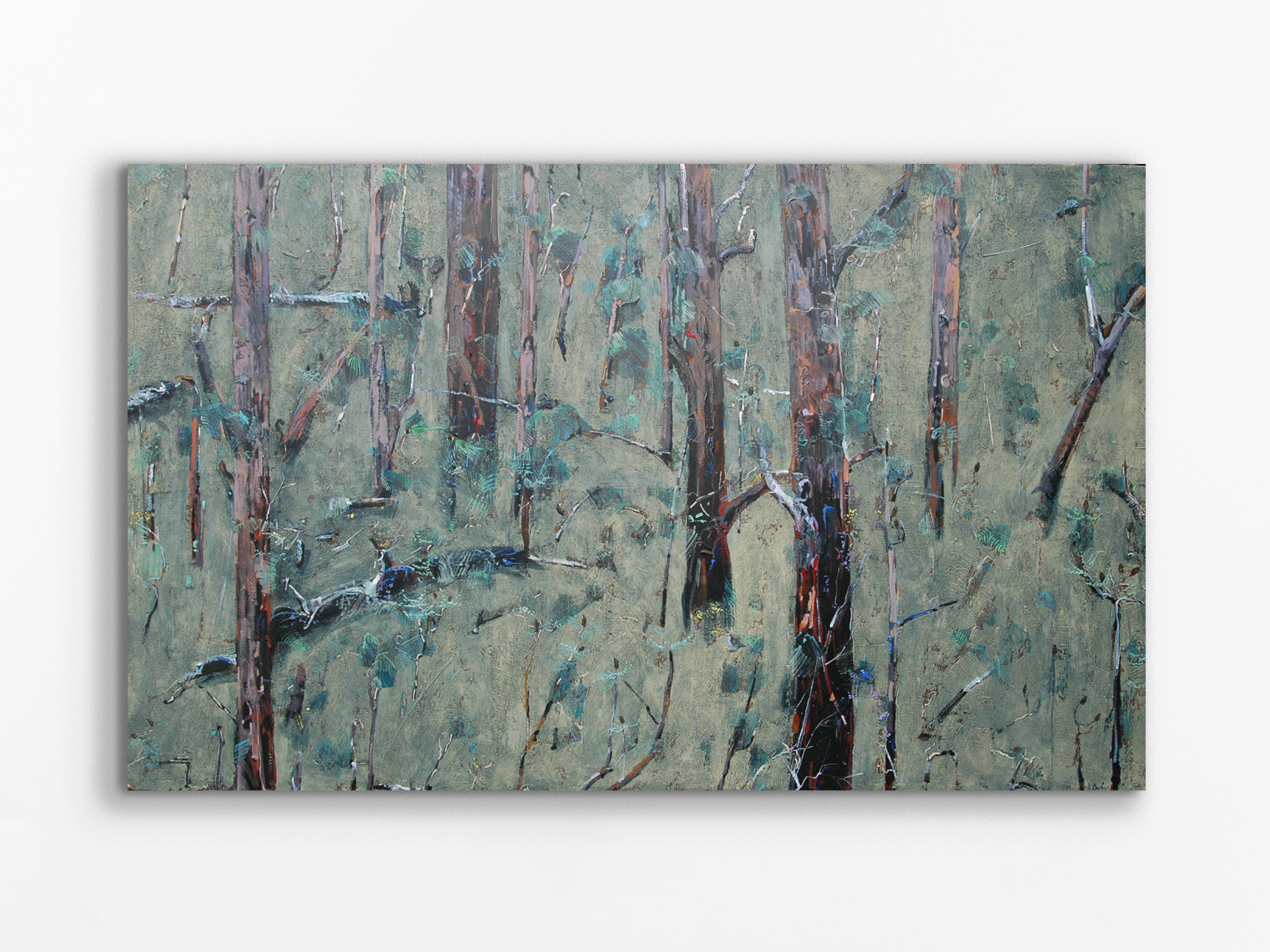 South West Forest, 1997-2007