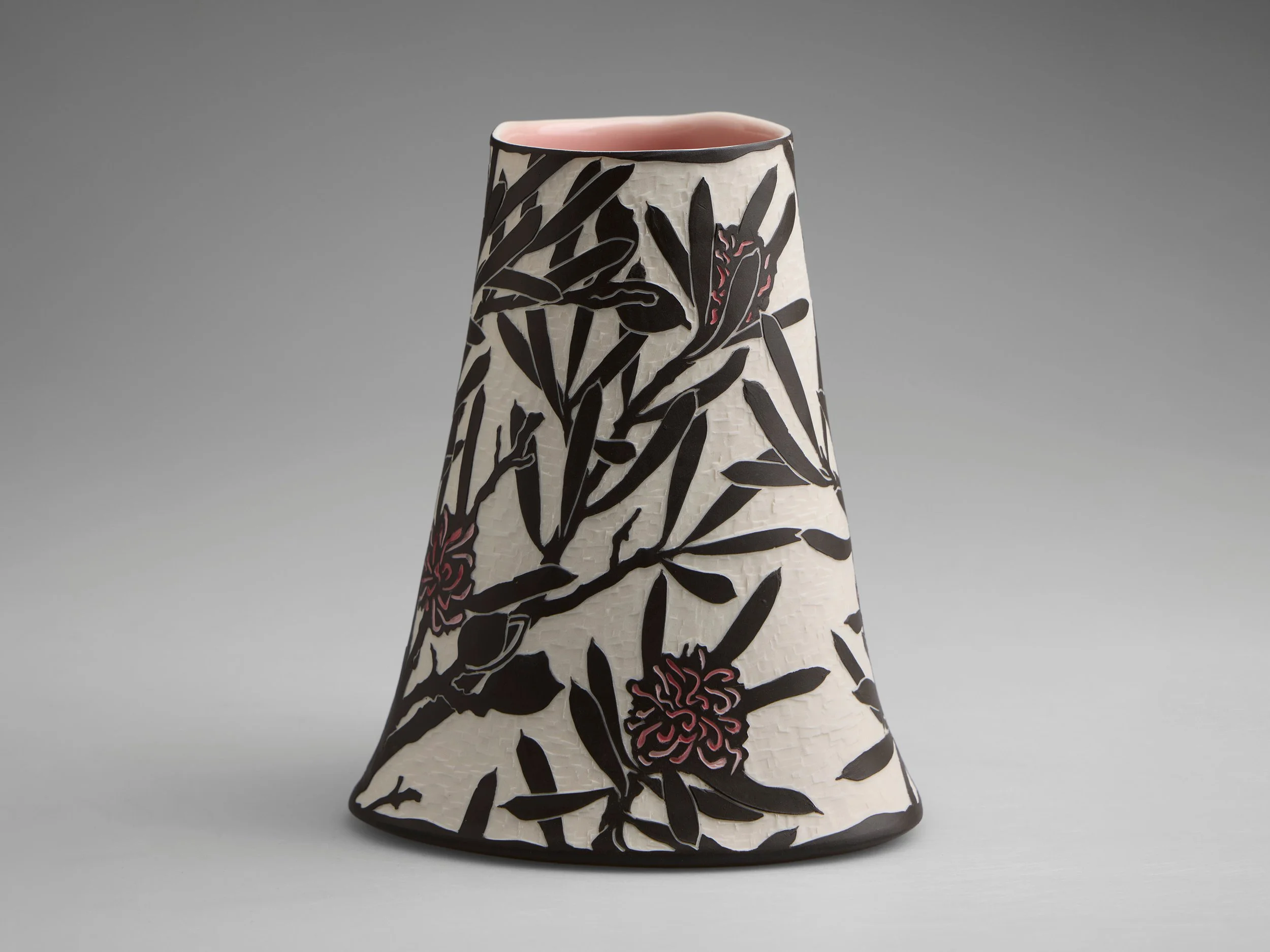 Coastal Hakea (Hakea clavata), 2024