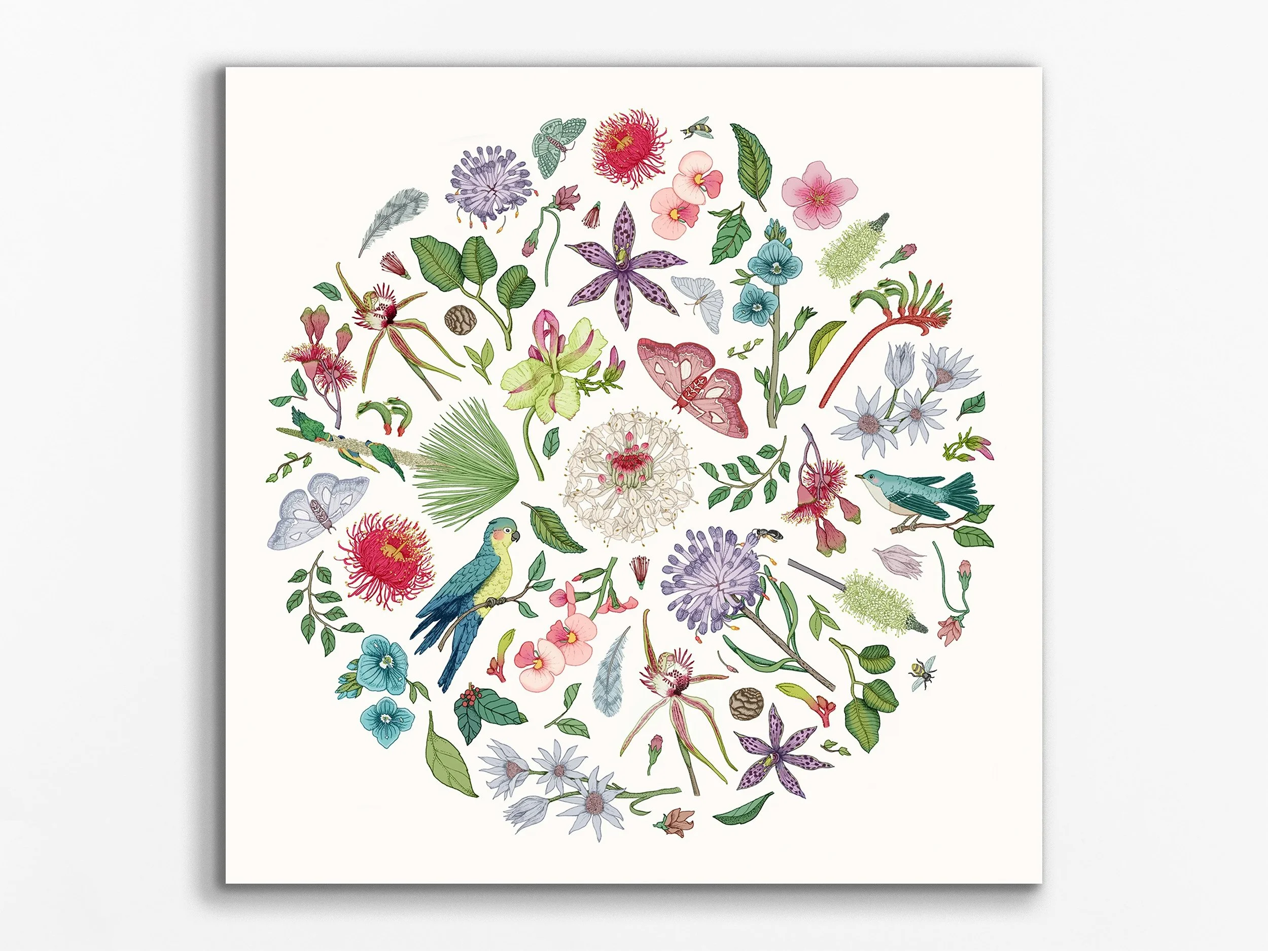 Wildflower Season