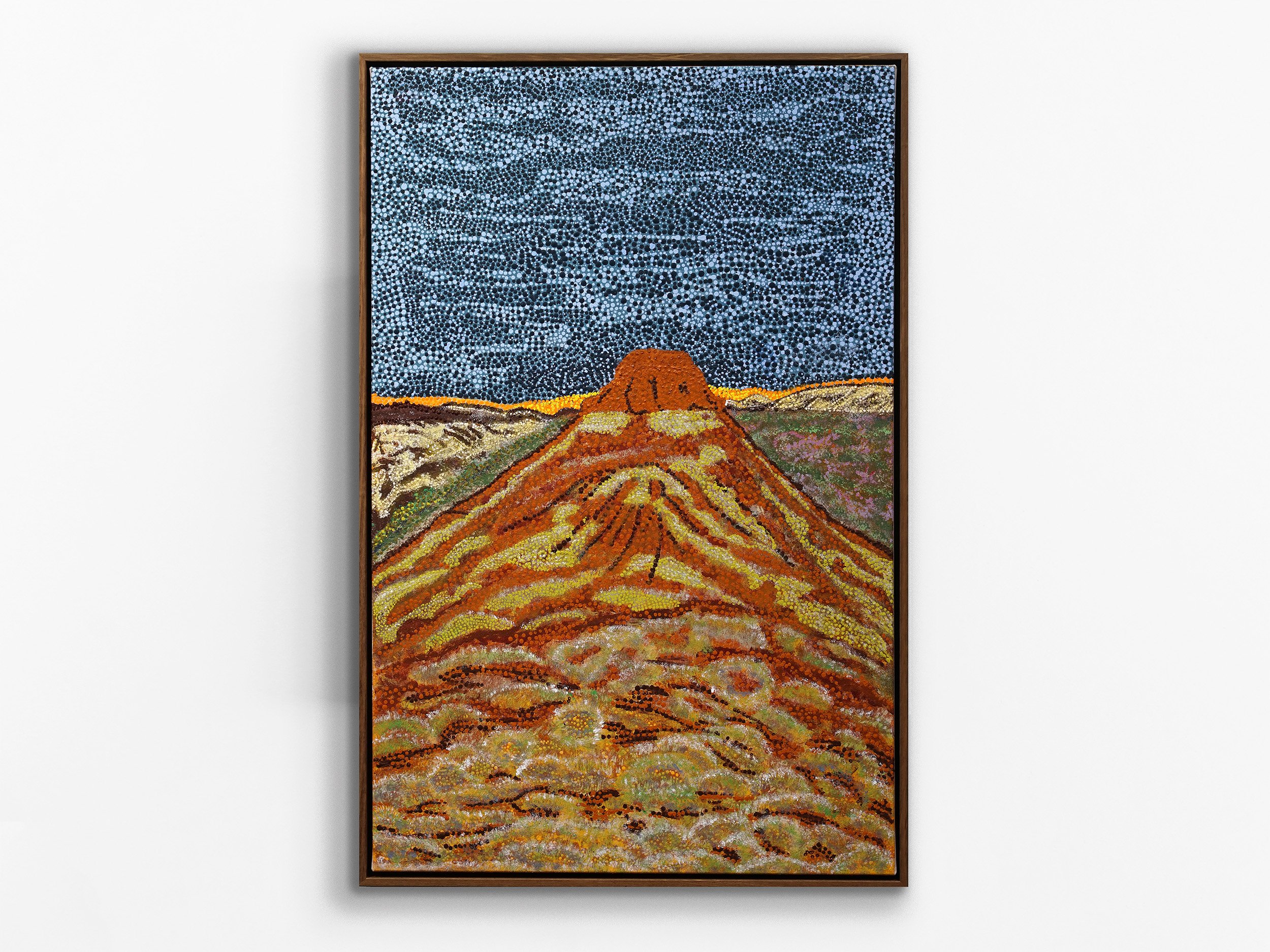 Warrawagine Station, Pilbara, 2024