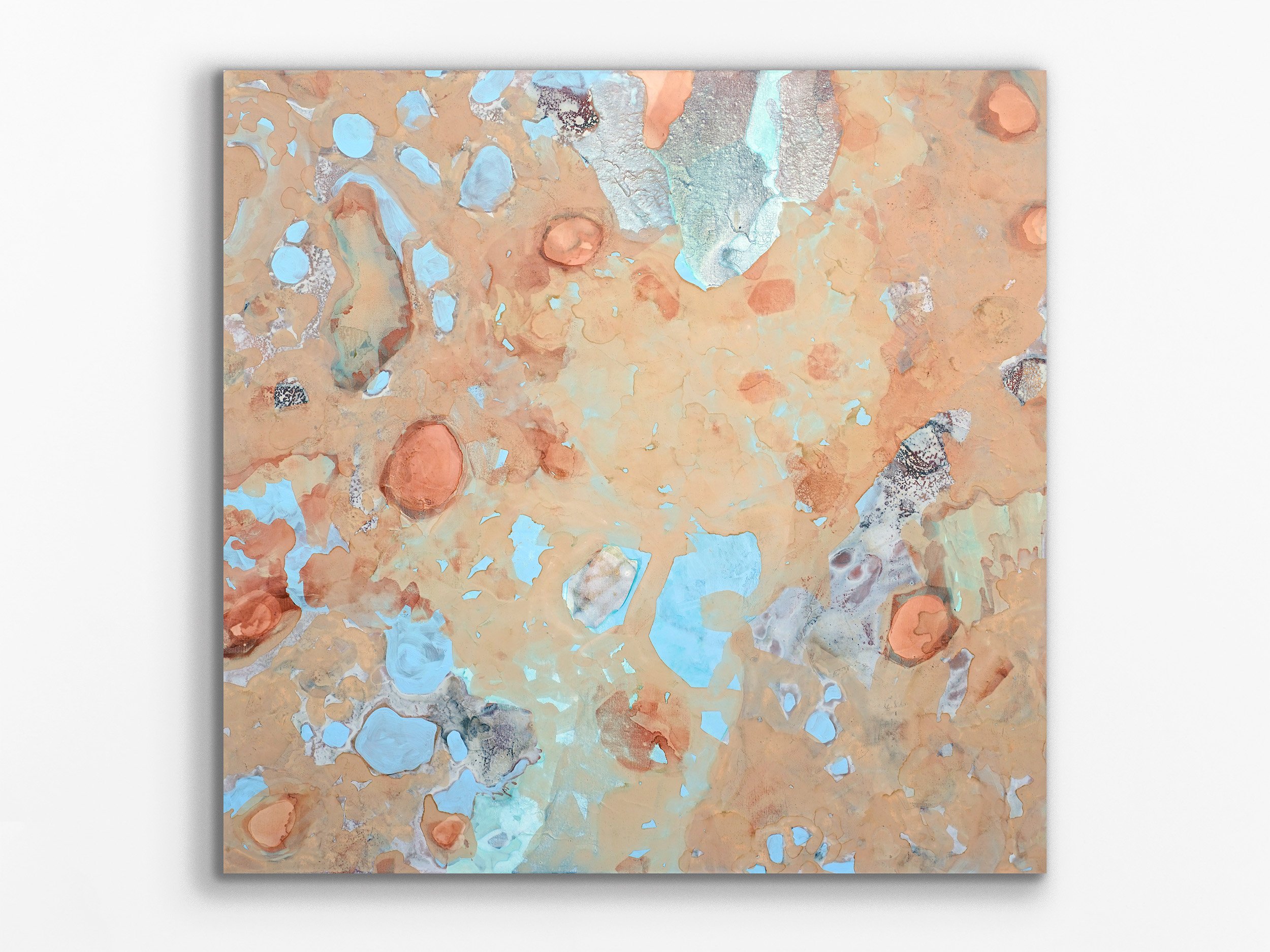 Summer Coquina, 2026