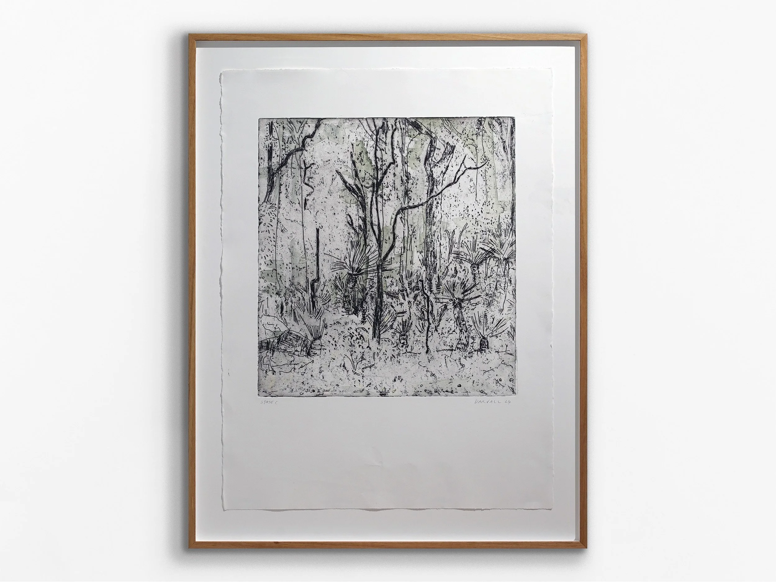 Boranup Series, State C, 2024