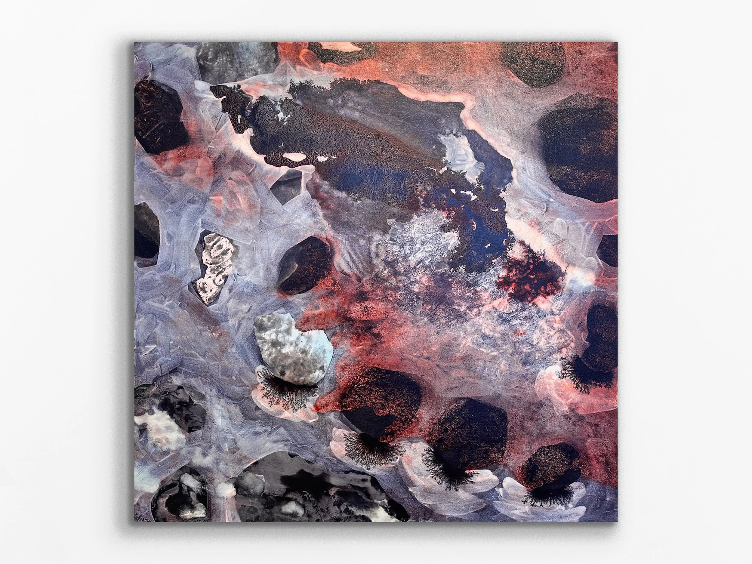 The Morphology of Water I, 2024