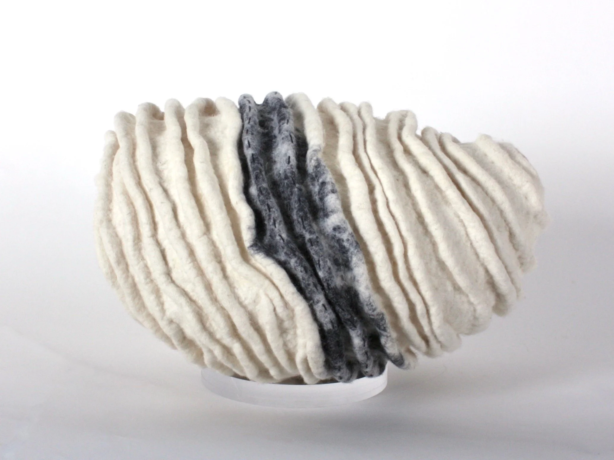 Cocoon Interlude, 2020