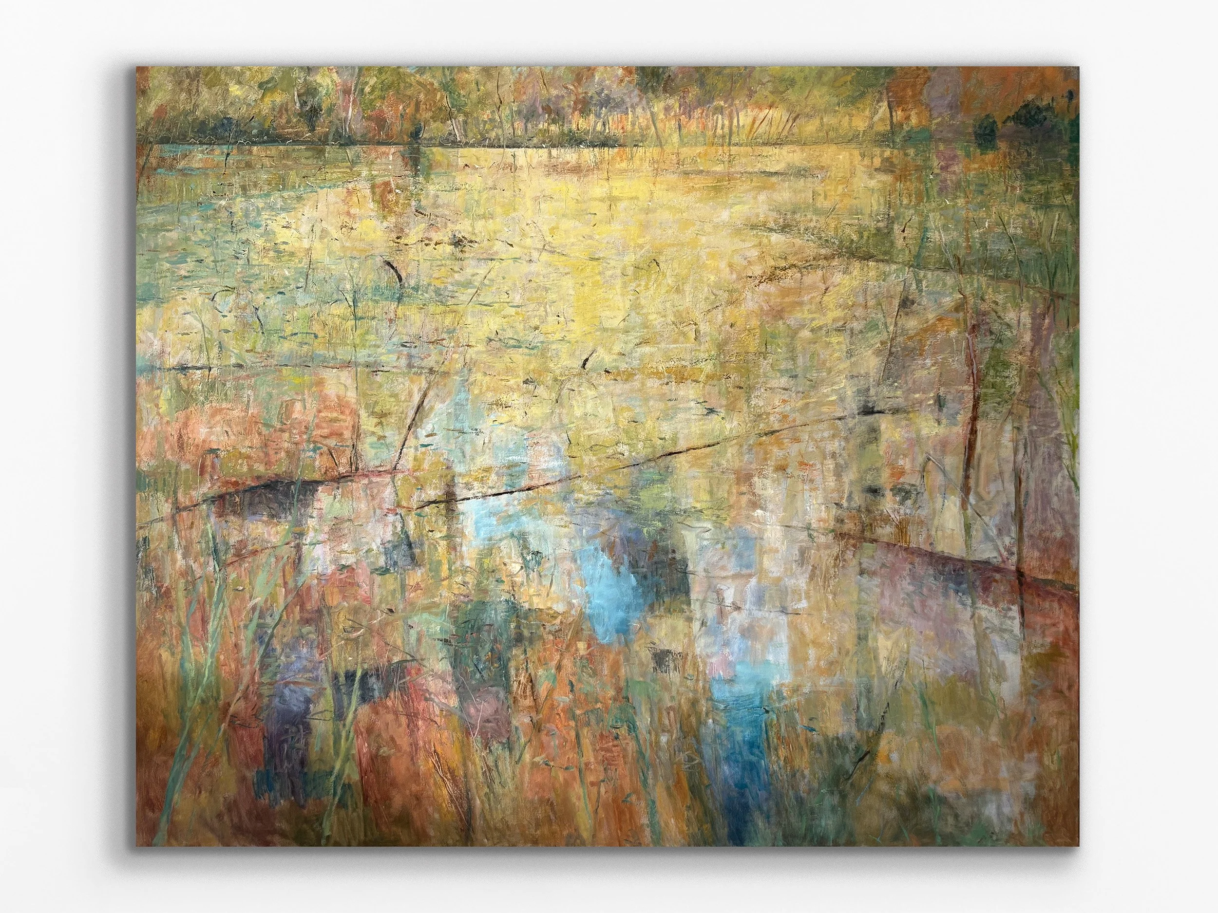 Light on swamp, 2025