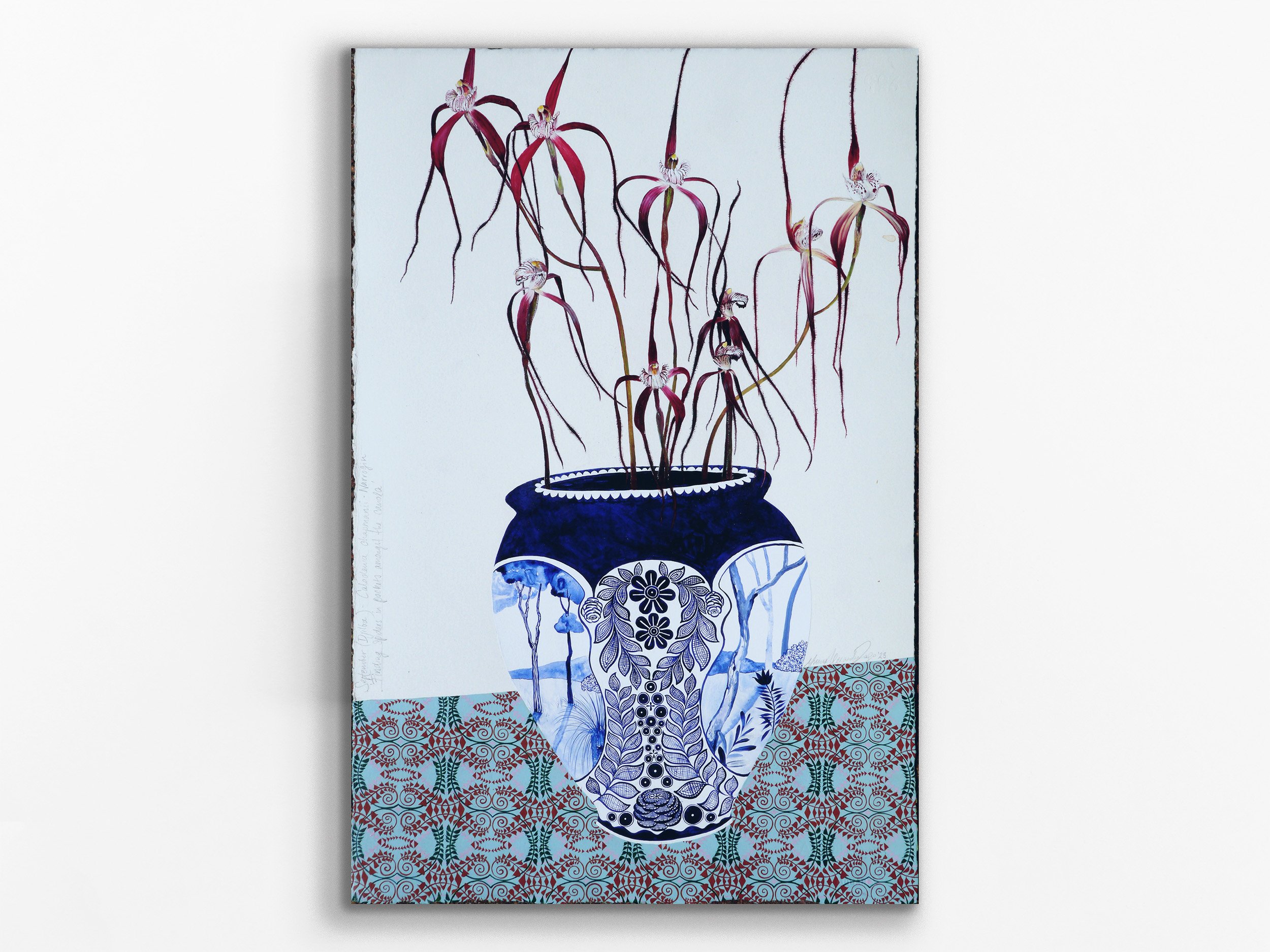 Finding spiders in pockets amongst the canola, 2023