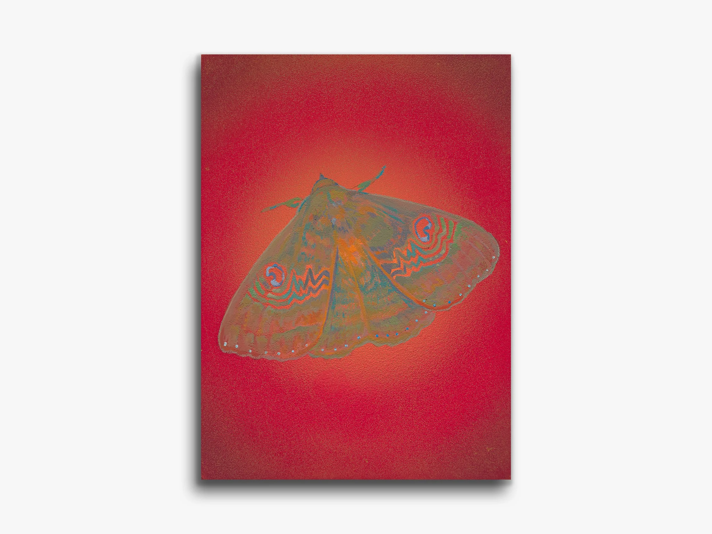 Flame Moth, Eve, 2026