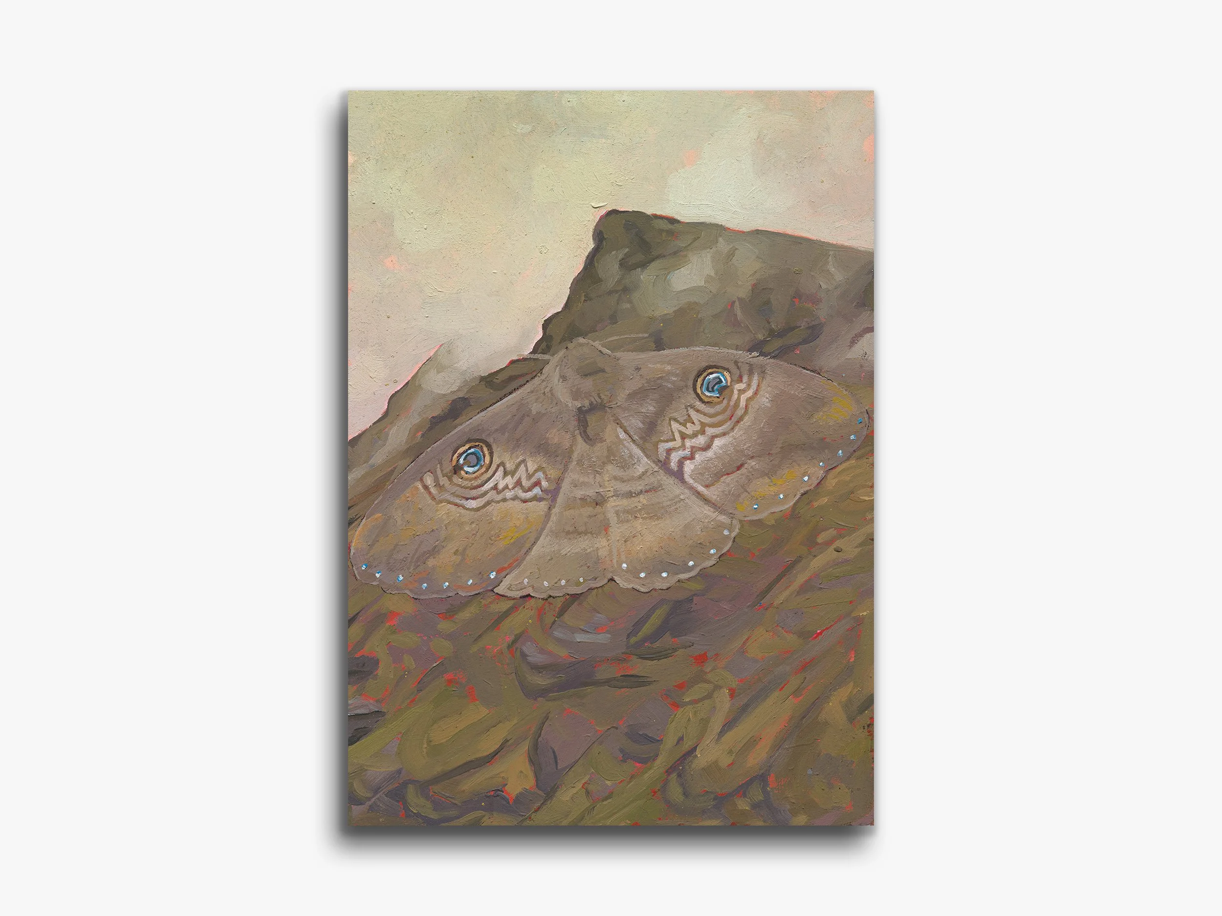 Ash Moth, Leah, 2026