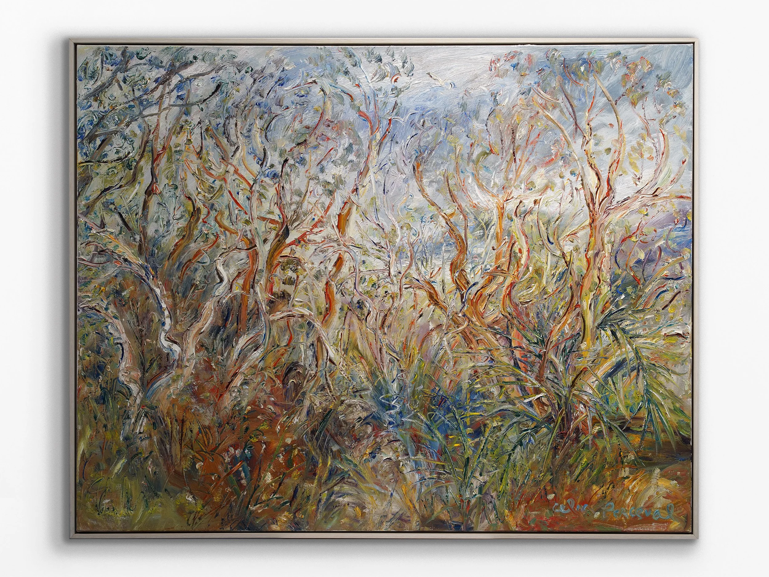 Looking through Angophora Bush as the Mist comes in from the Sea at Blackbutt Reserve