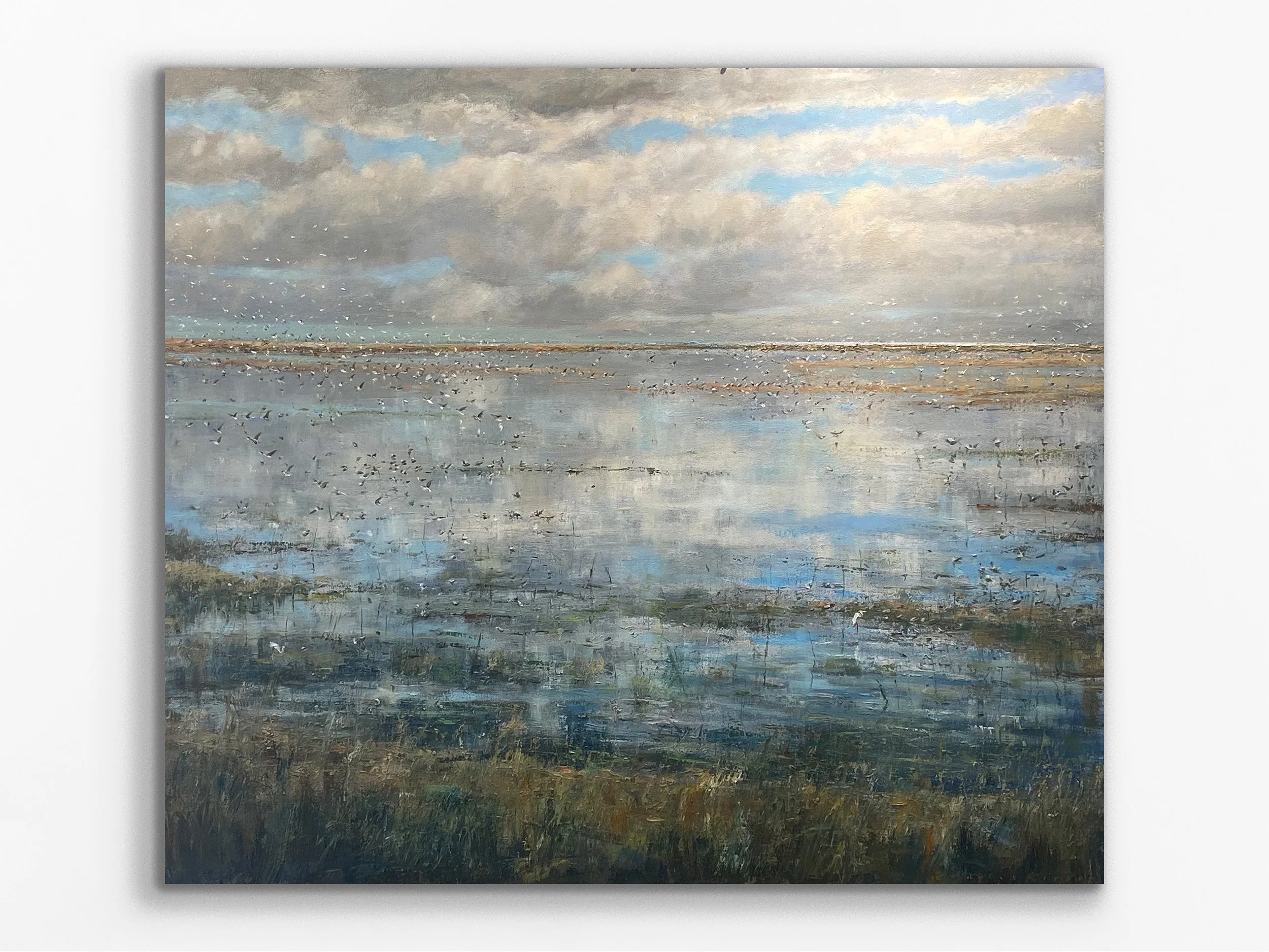 Clouds and  Coastal Wetlands, 2023