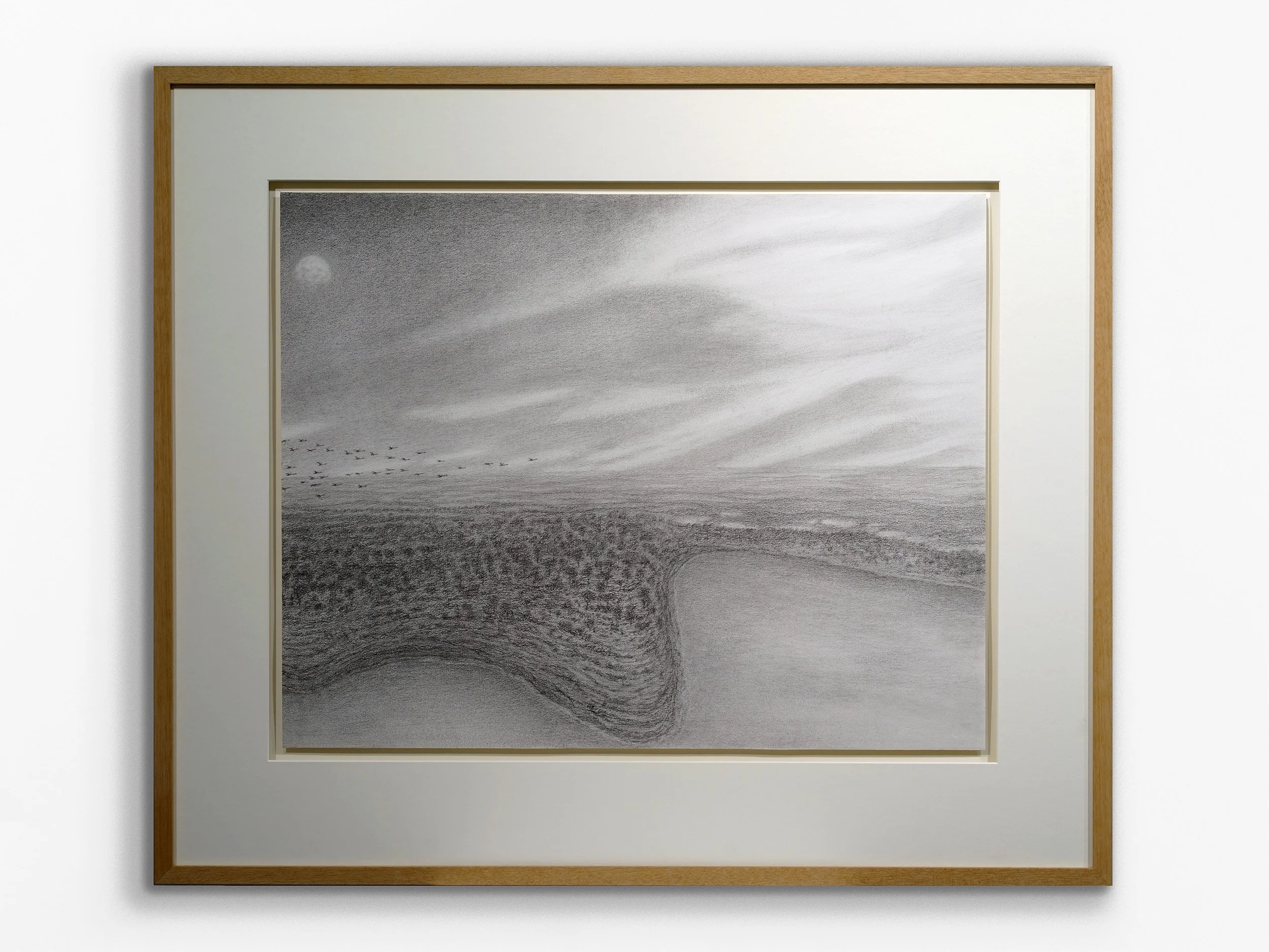 River - Northern View to Mooro Katta Kings Park, 2020