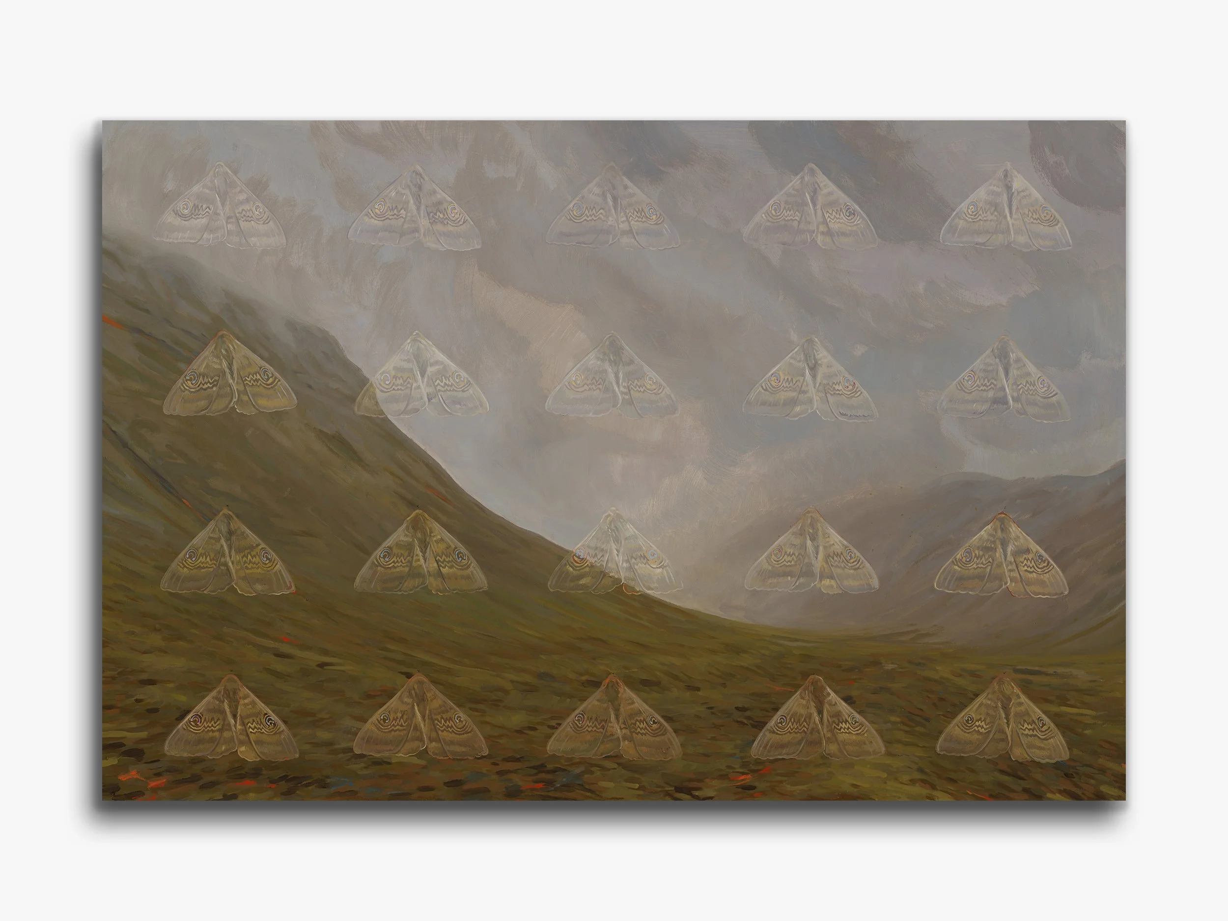 Ash Moths, Saksun, 2026