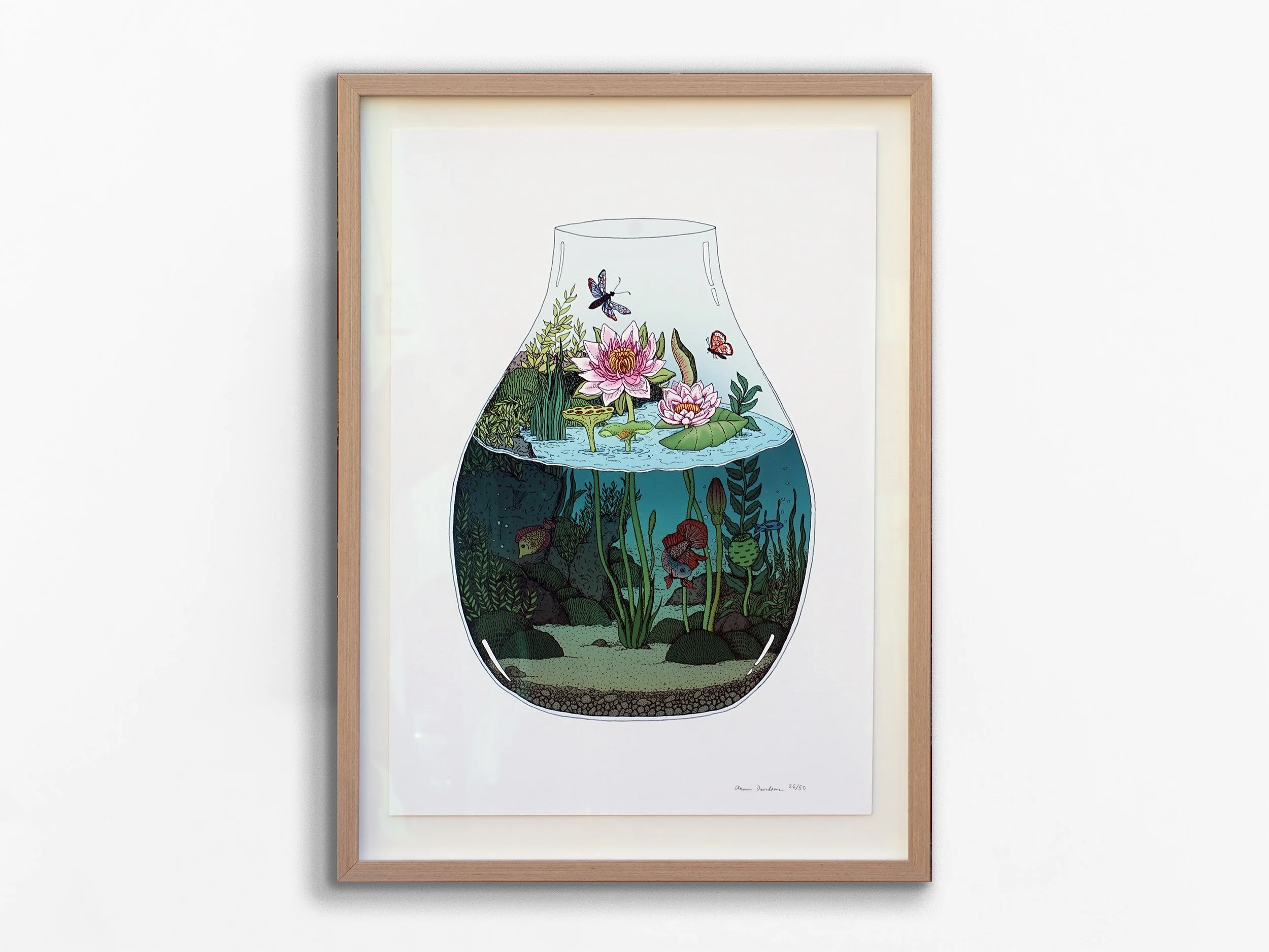 Waterlilies