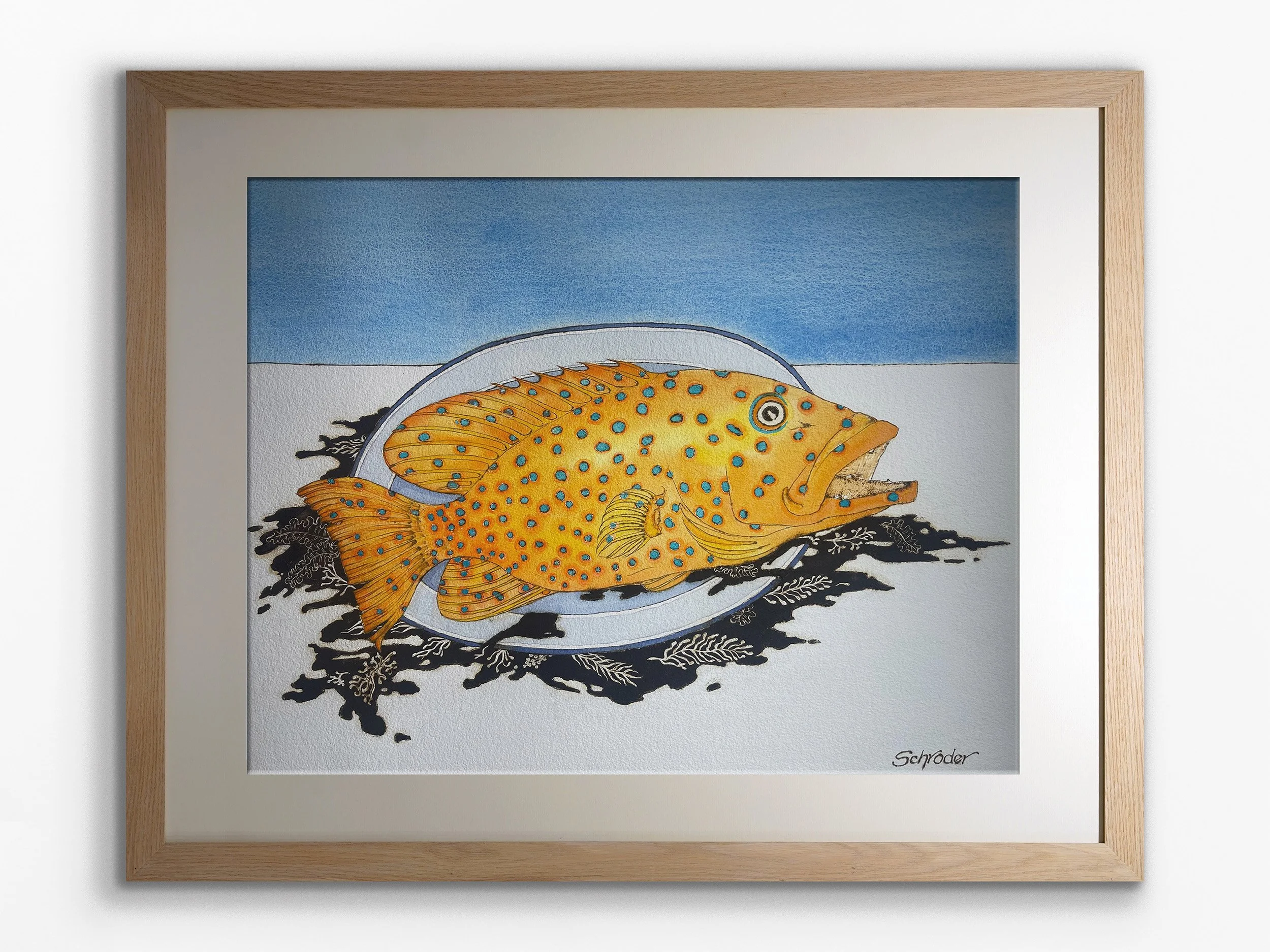 Coral Trout, 2024