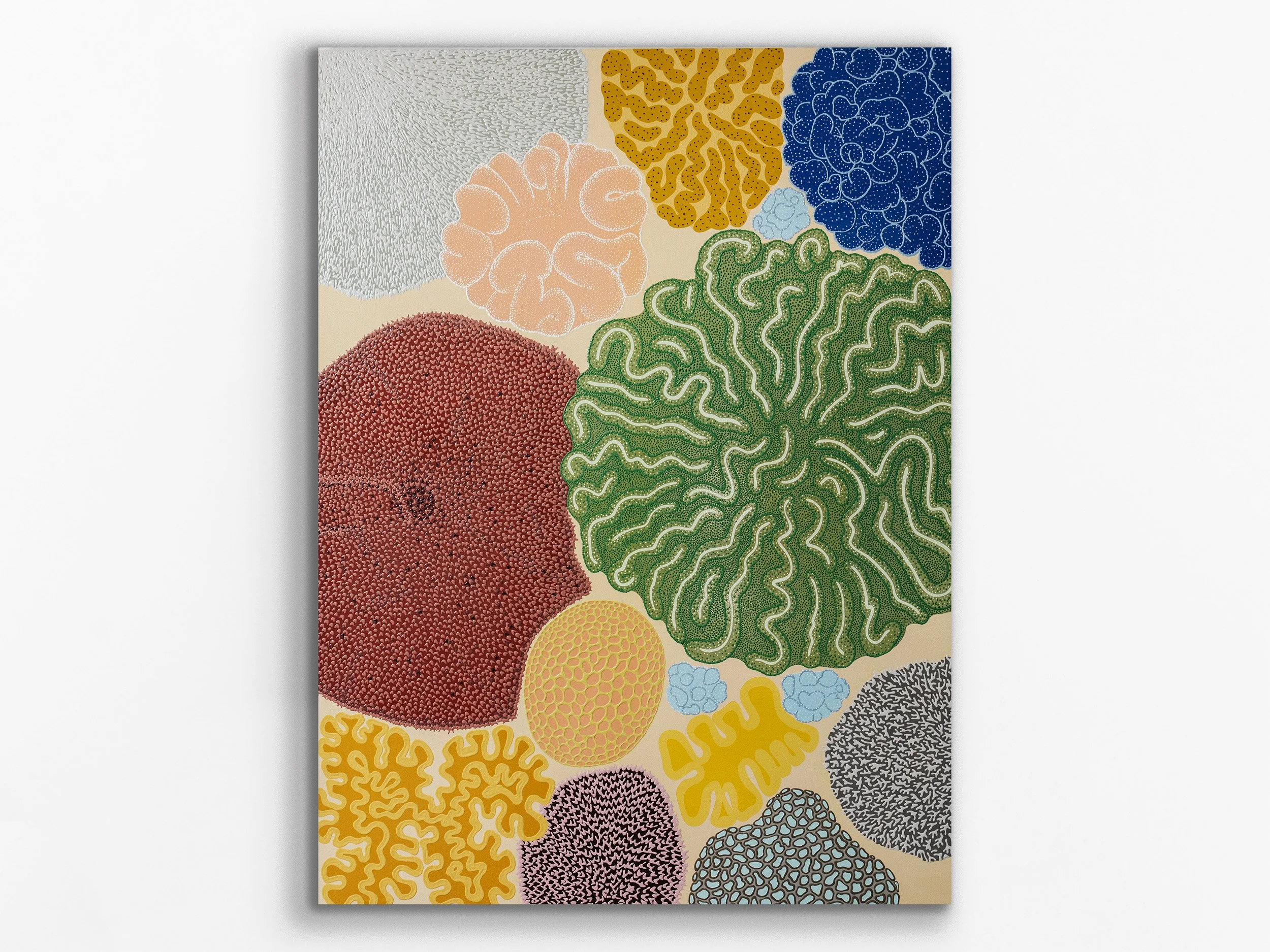 Drift Dive, Murion Islands, October 2024, 2026