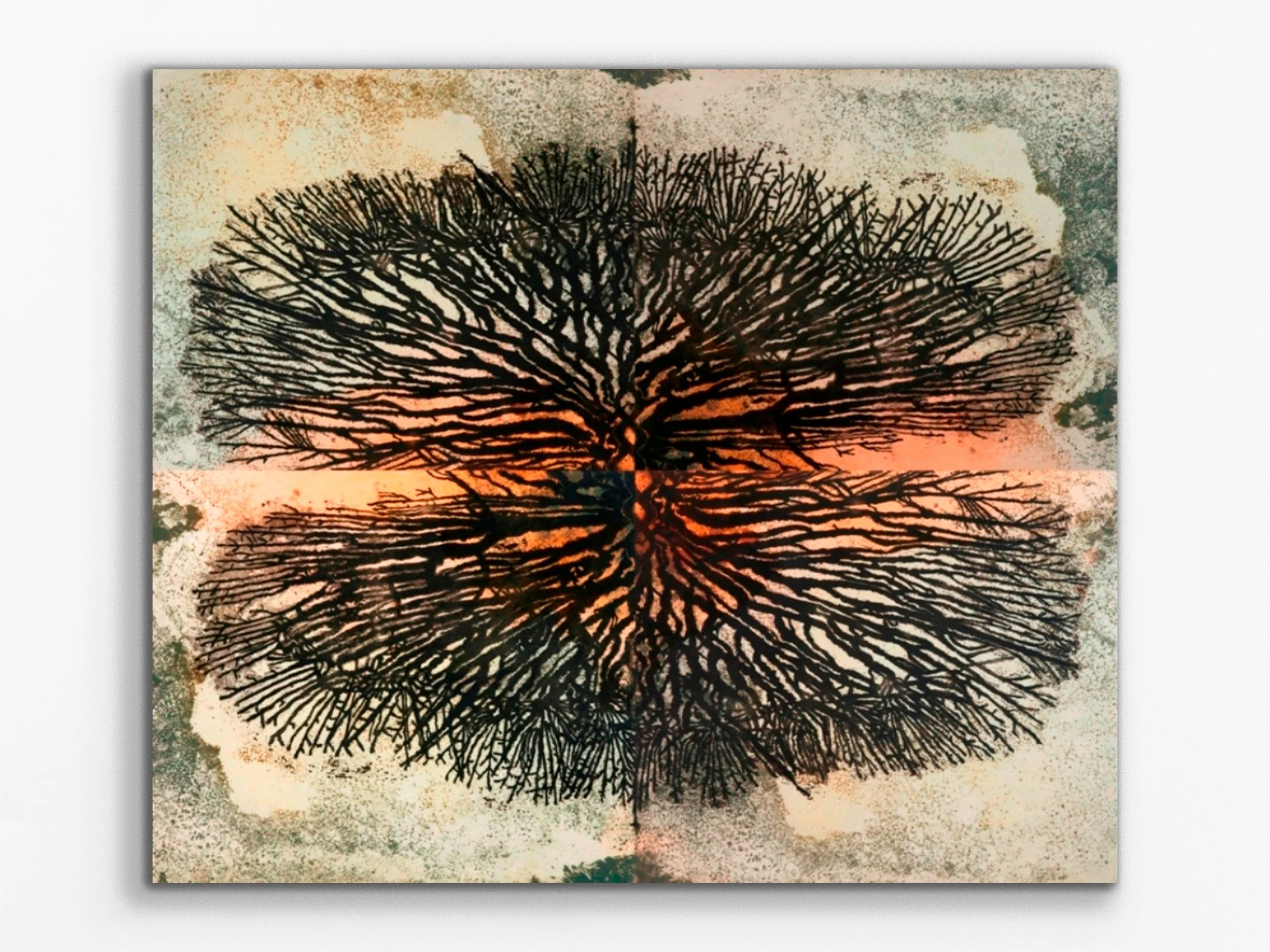 The Dragon Blood Tree, 2024
