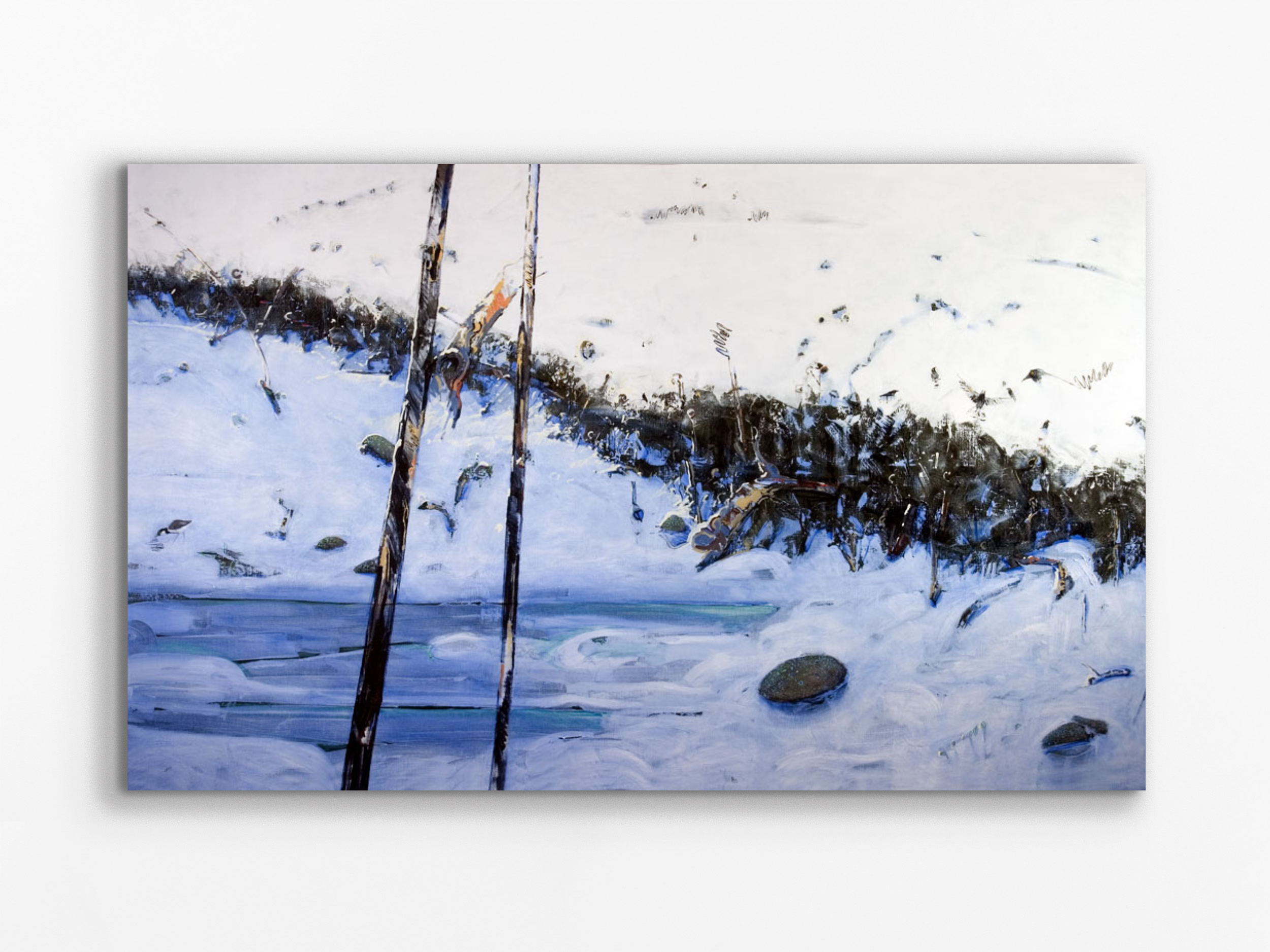 Snowfields, 1997-2007