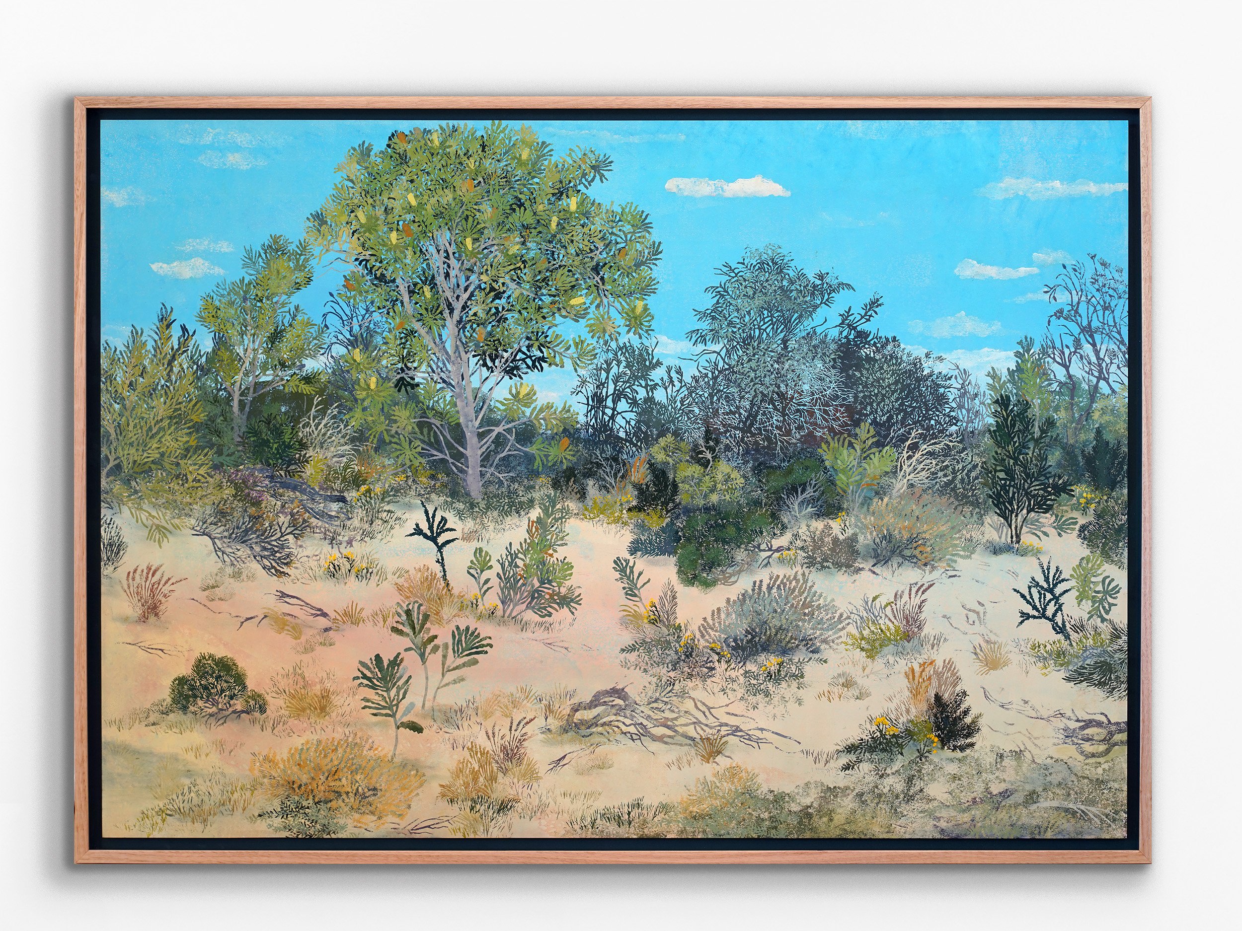 Welcome Banksia - Whiteman Park, 2026