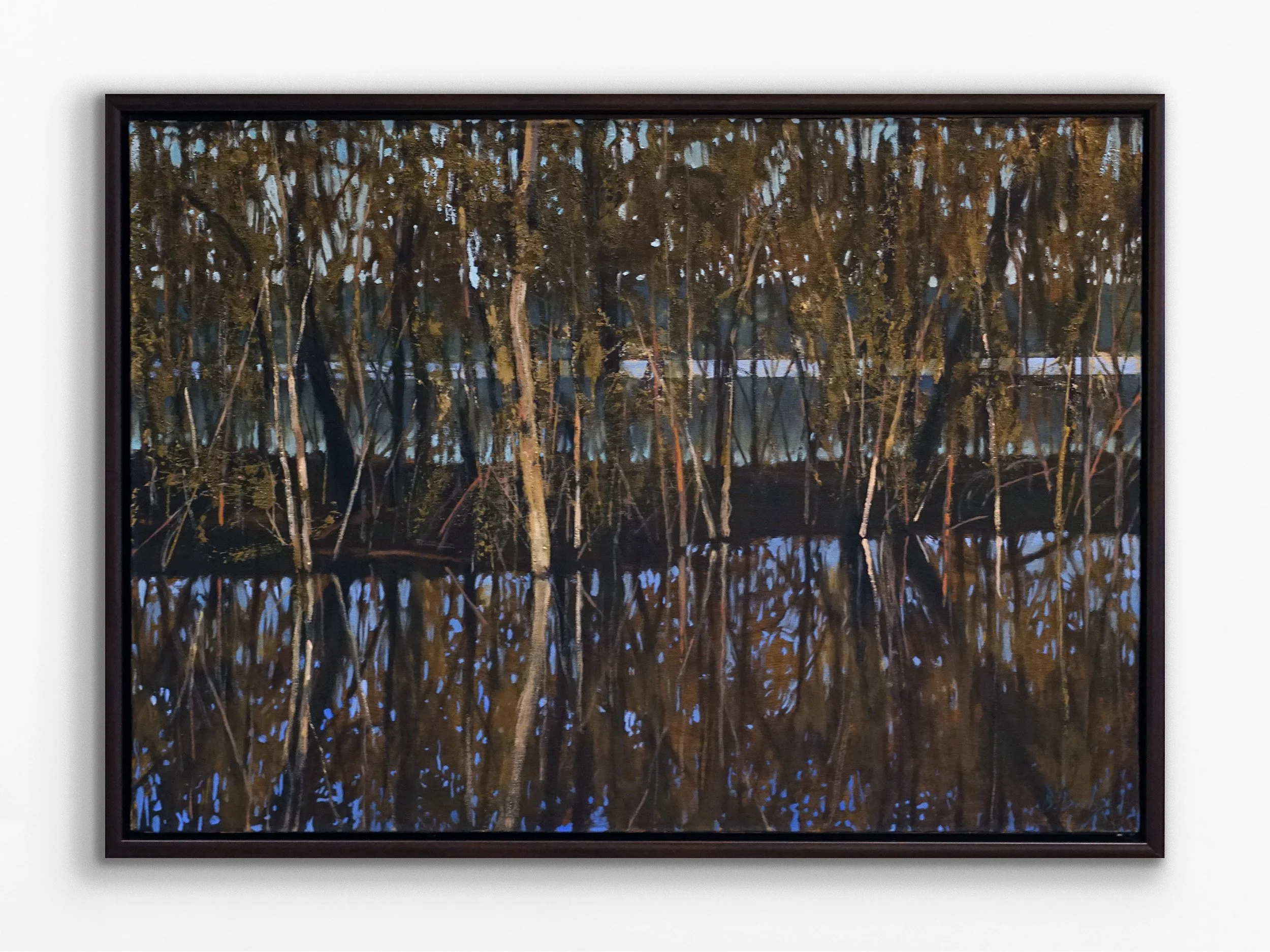 Across Lake Monger (Study), 2024