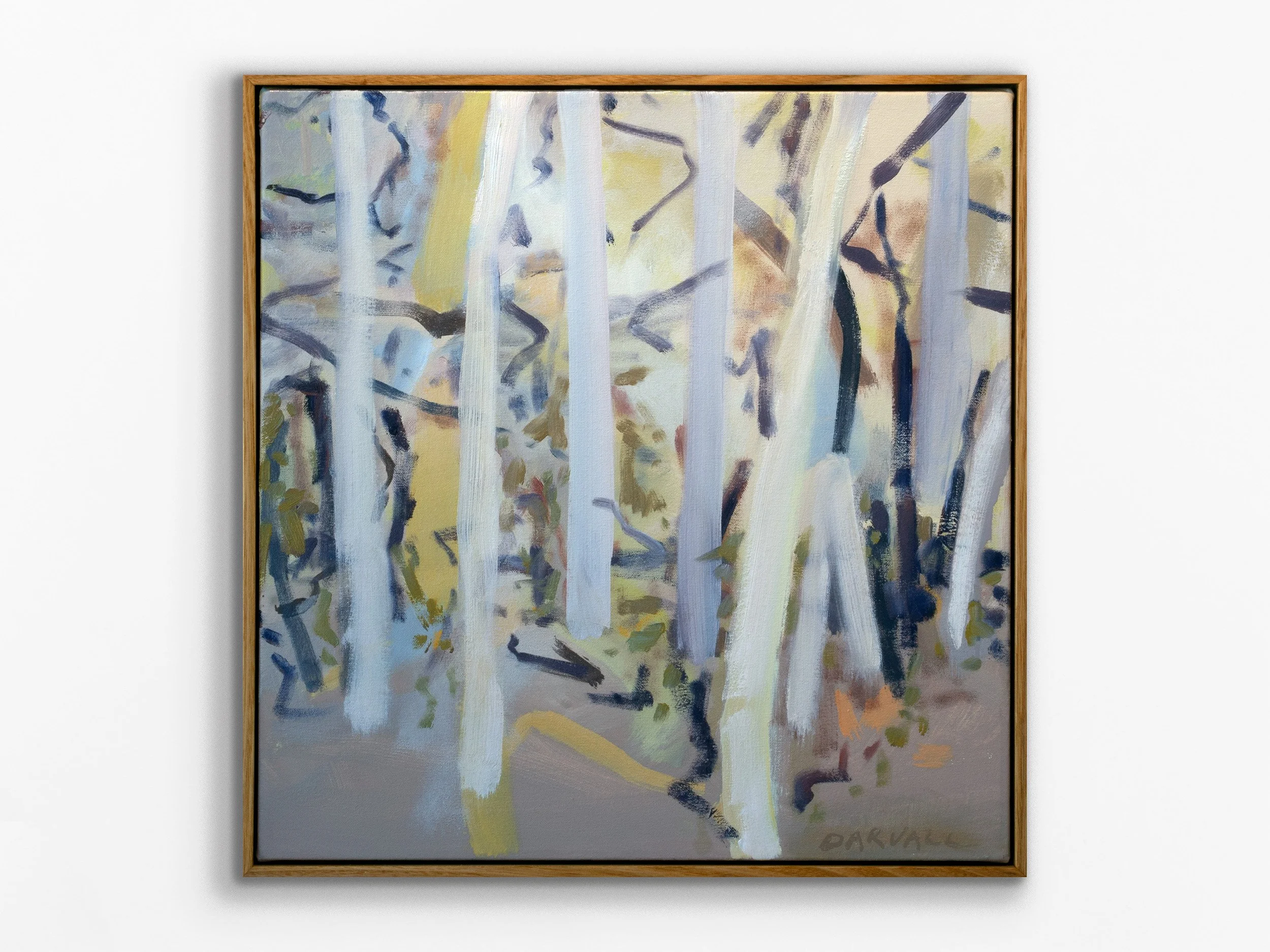 Boranup Forest 6A, 2022