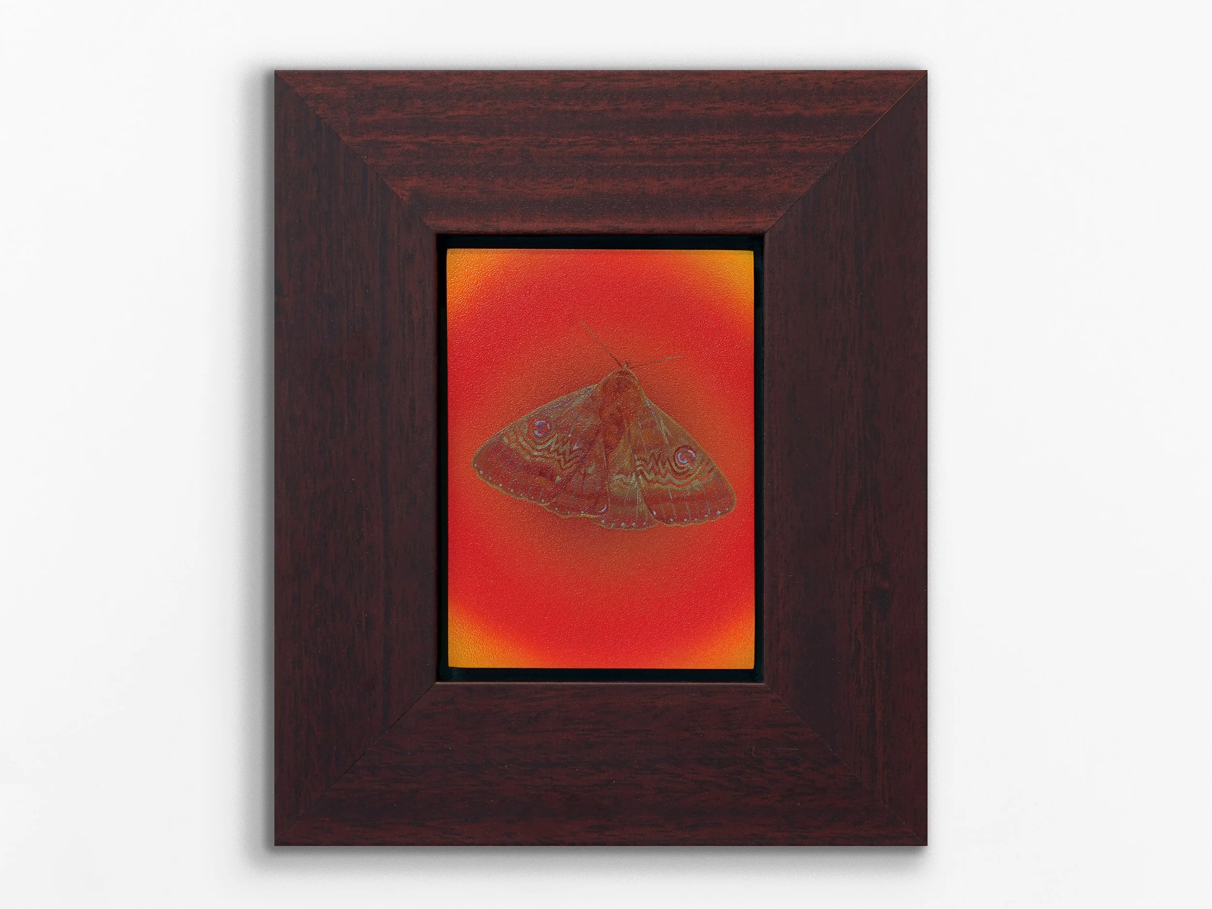 Flame Moth, Martha, 2026