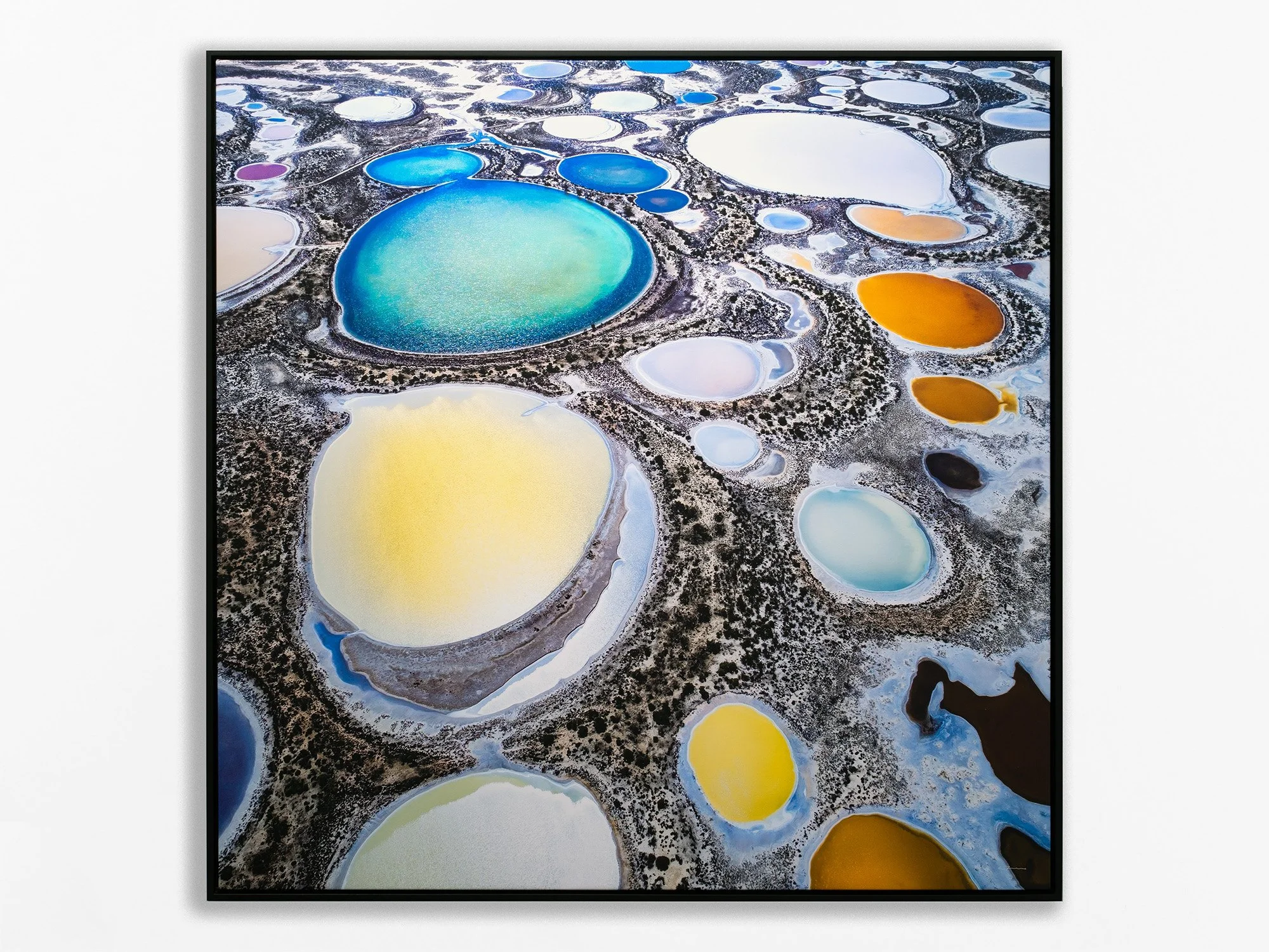 Salt Lakes, Pithara, 2024