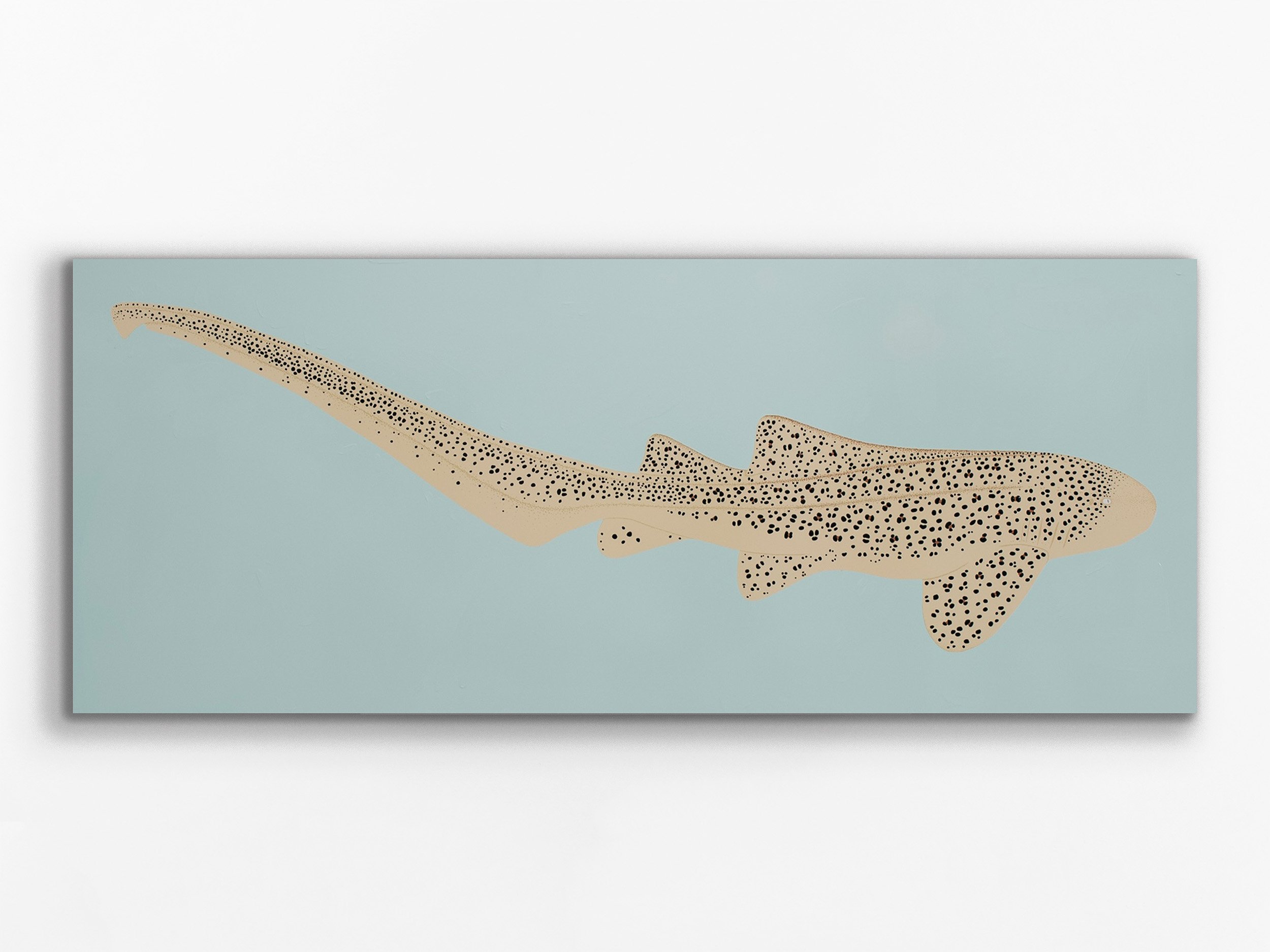 In profile, Stegostoma tigrinum, 2026