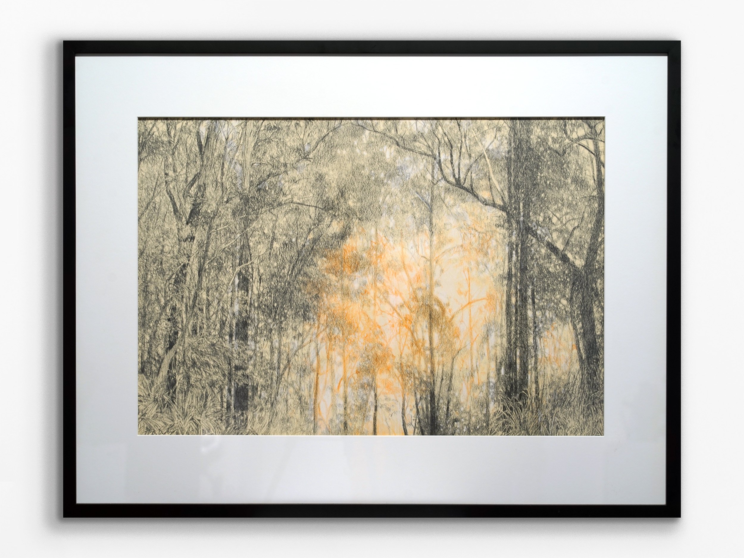 Into the Booderee Sun - Drawing