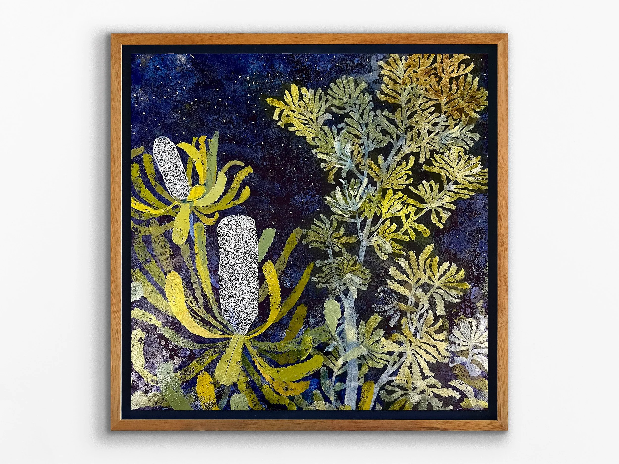 Midnight Banksia, 2025